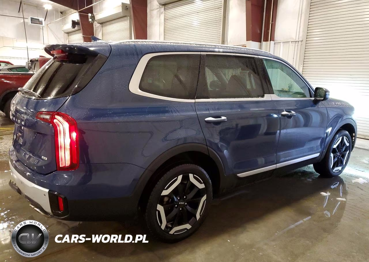 2024 Kia Telluride Ex Awd VIN:5XYP6DGC0RG531985 - 3