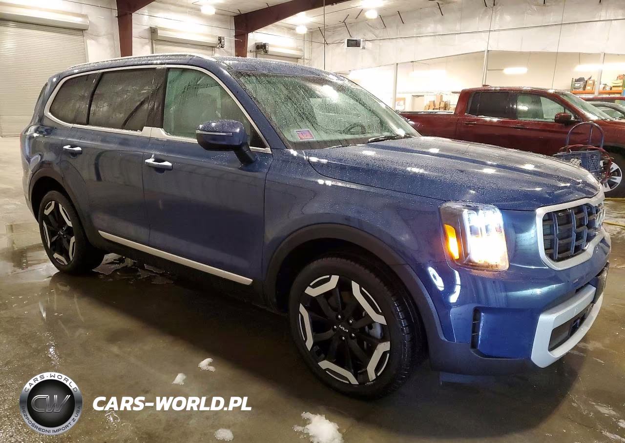 2024 Kia Telluride Ex Awd VIN:5XYP6DGC0RG531985 - 4