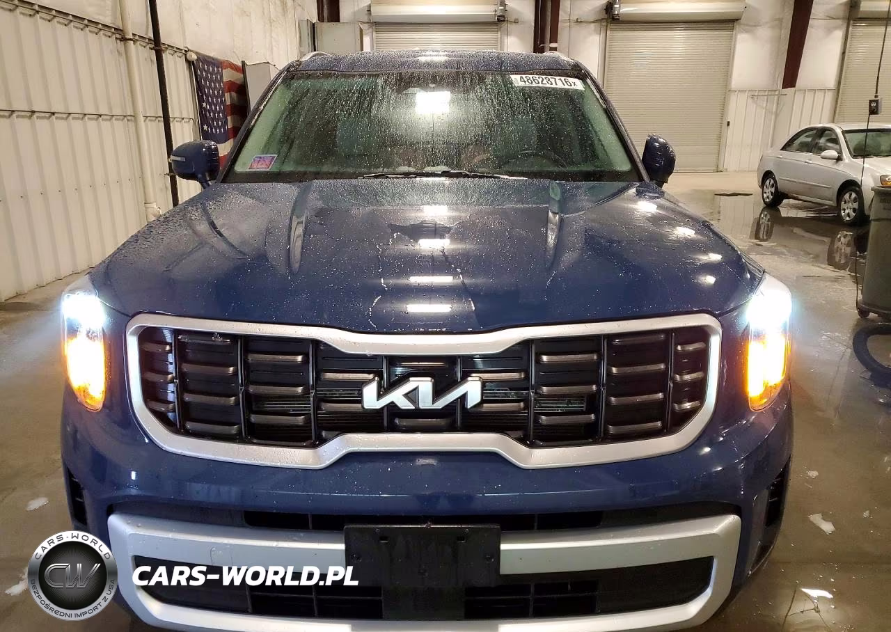 2024 Kia Telluride Ex Awd VIN:5XYP6DGC0RG531985 - 5