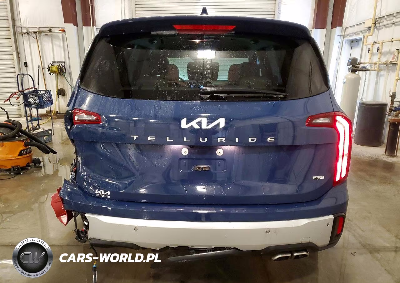 2024 Kia Telluride Ex Awd VIN:5XYP6DGC0RG531985 - 6