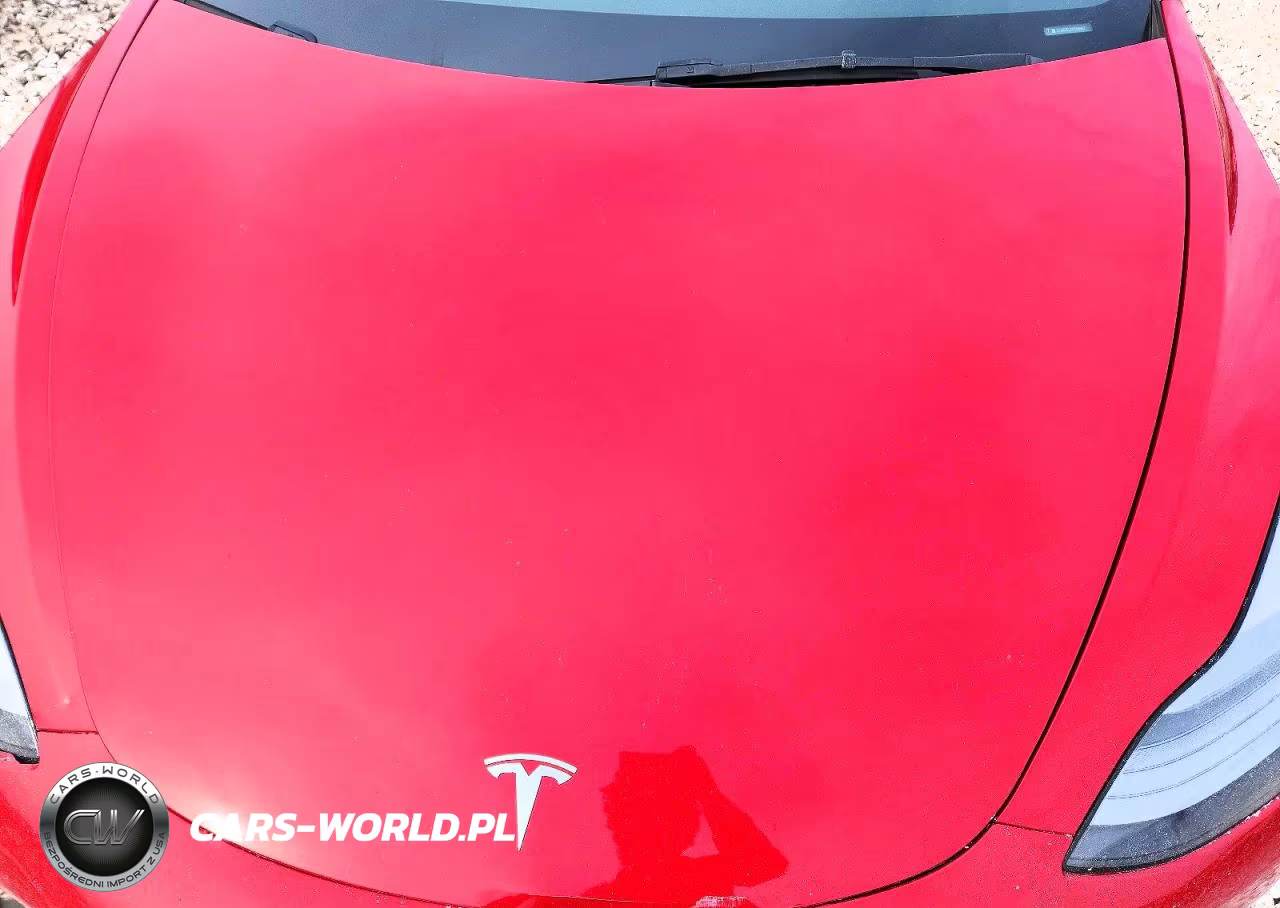 2023 Tesla Model 3 VIN:5YJ3E1EC5PF619812 - 11