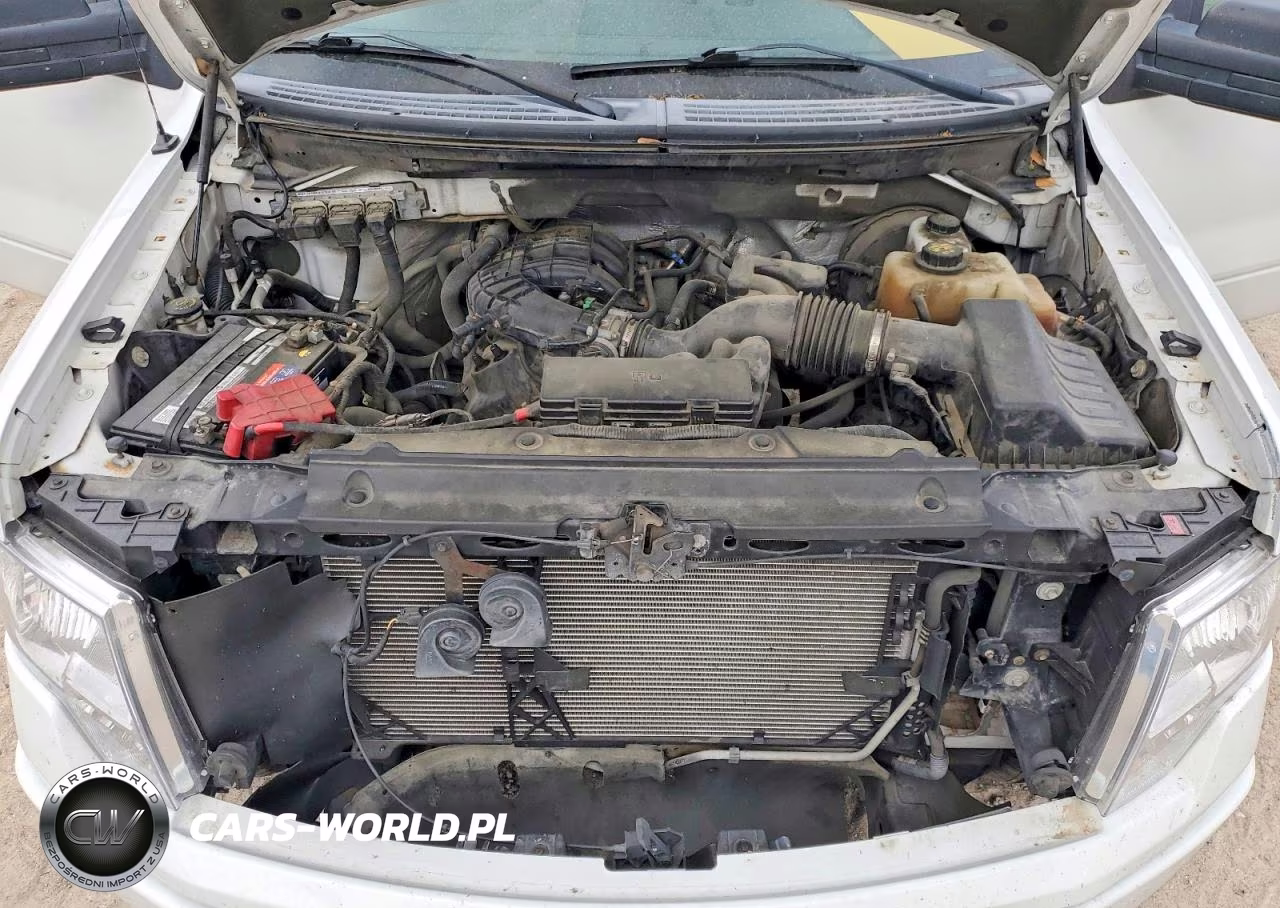 2011 Ford F150 VIN:1FTMF1CM1BFC77597 - 11