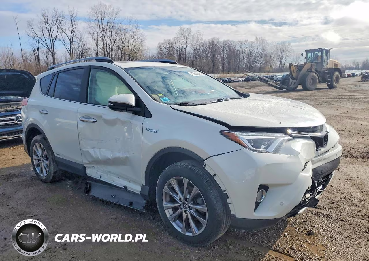 2017 Toyota Rav4 Hybrid Limited VIN:JTMDJREV3HD141902 - 4