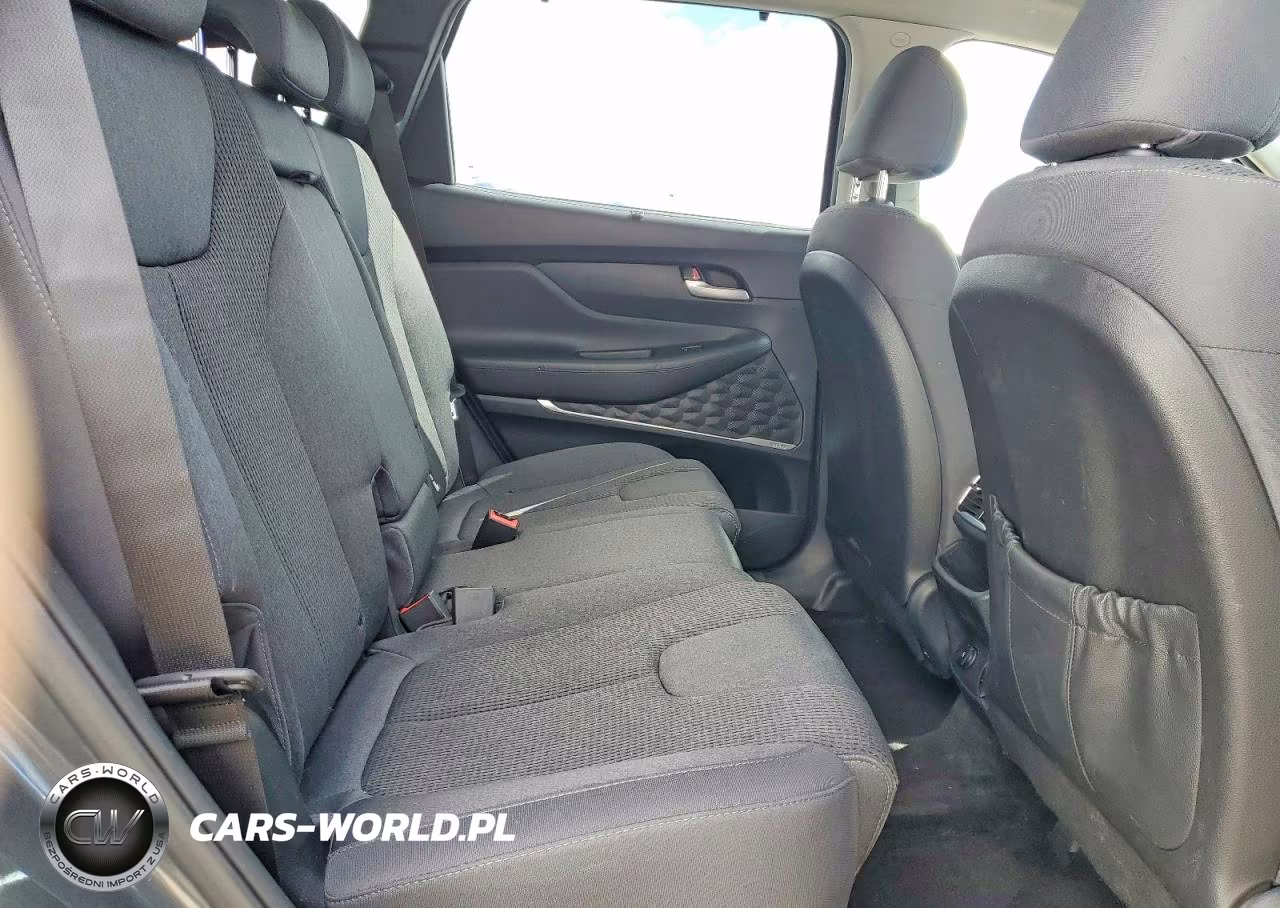 2020 Hyundai Santa Fe Sel VIN:5NMS3CAD7LH195439 - 11
