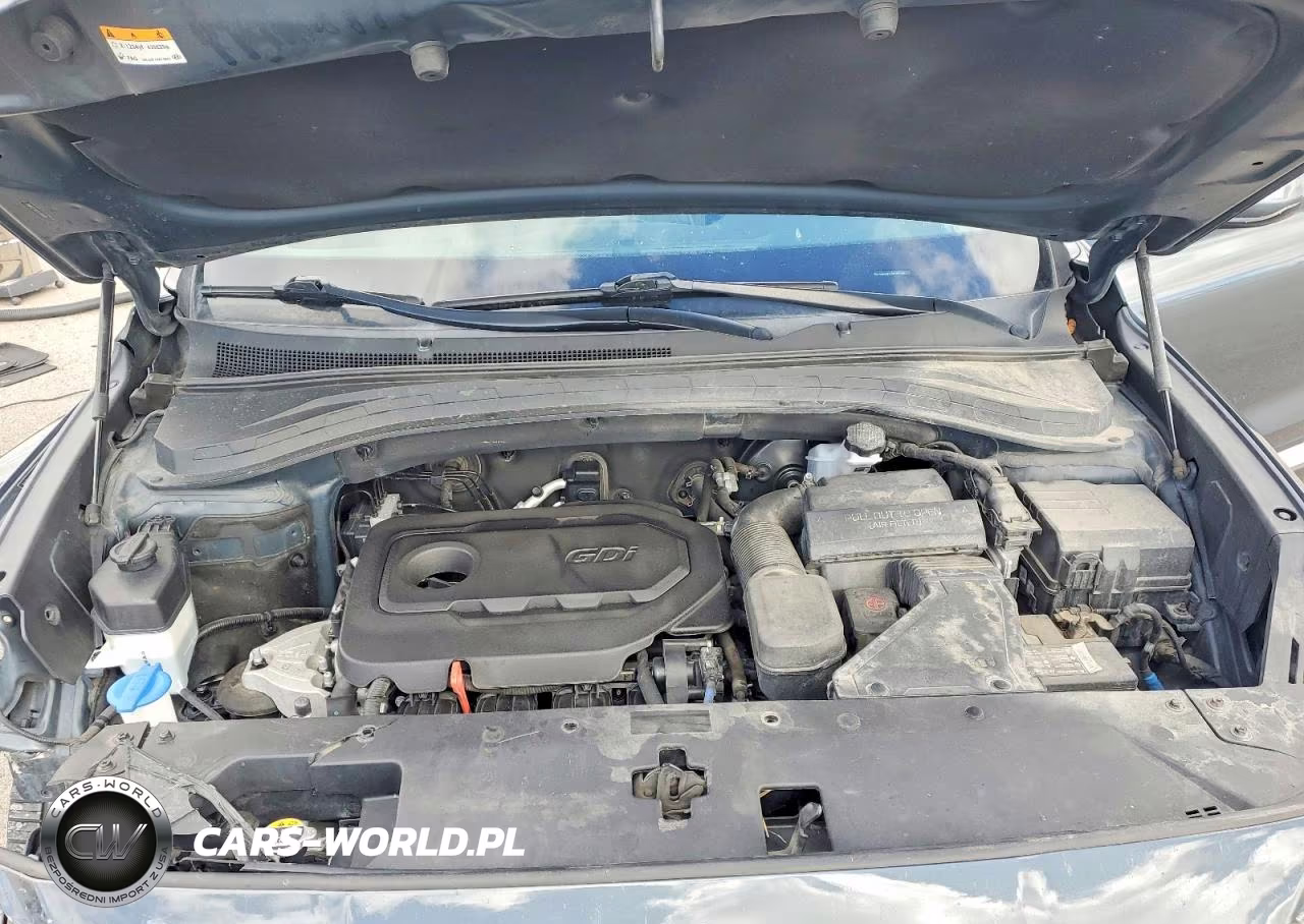 2020 Hyundai Santa Fe Sel VIN:5NMS3CAD7LH195439 - 12