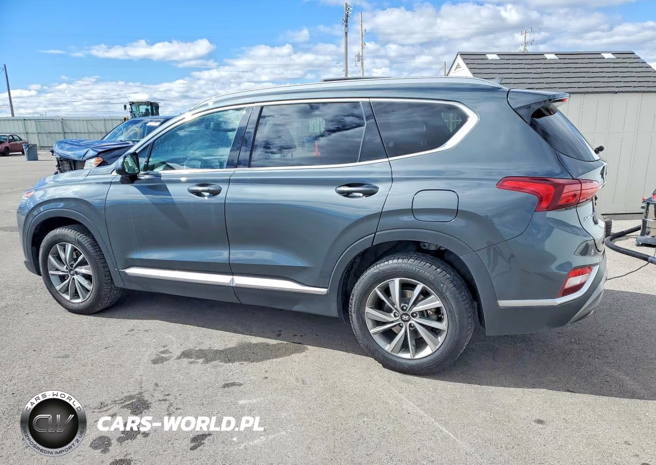 2020 Hyundai Santa Fe Sel VIN:5NMS3CAD7LH195439 - 2