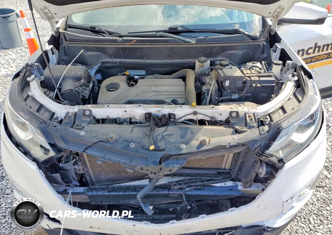 2019 Chevrolet Equinox Lt VIN:2GNAXUEV7K6306450 - 12