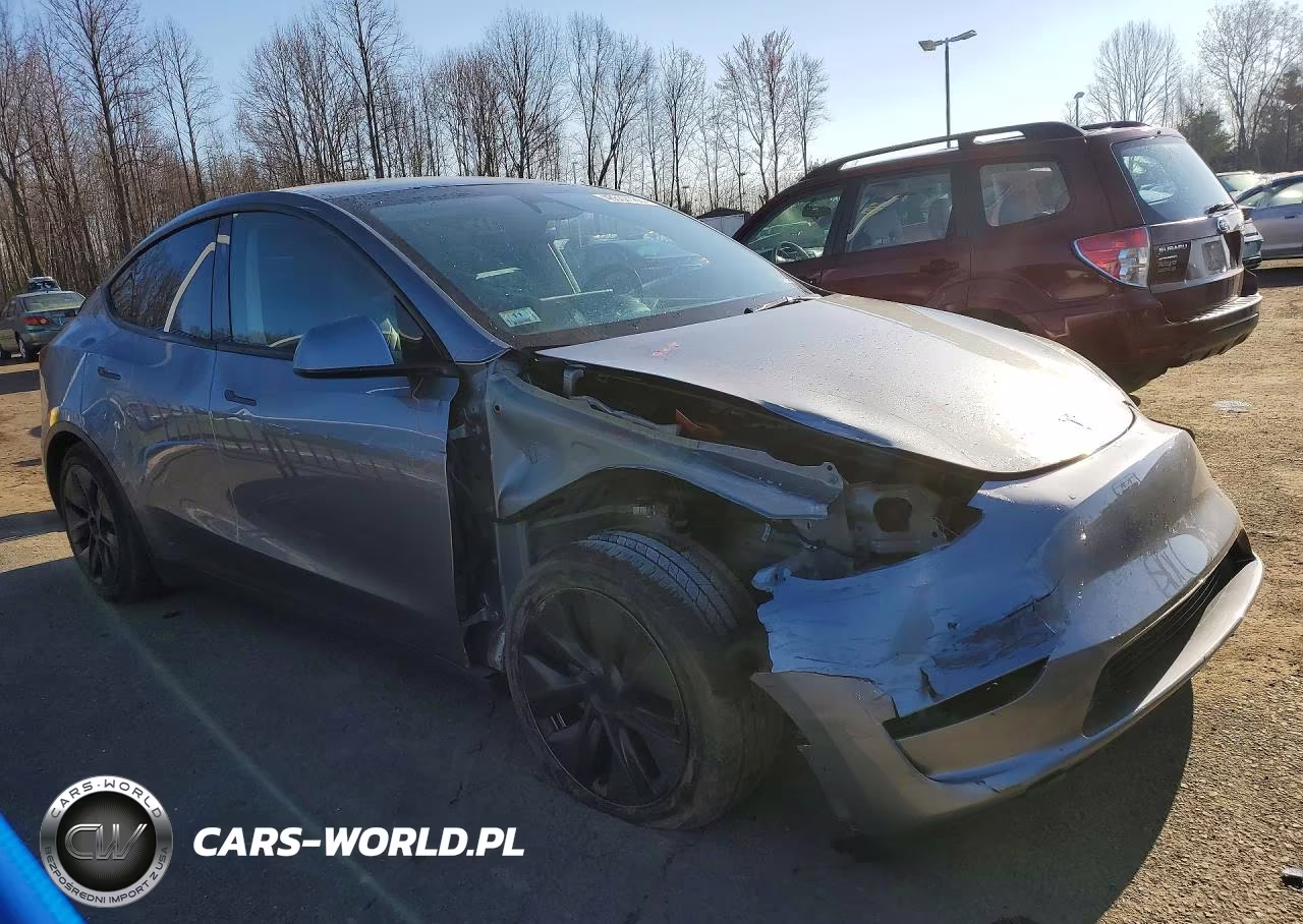 2025 Tesla Model Y VIN:7SAYGAEE9SF239630 - 4