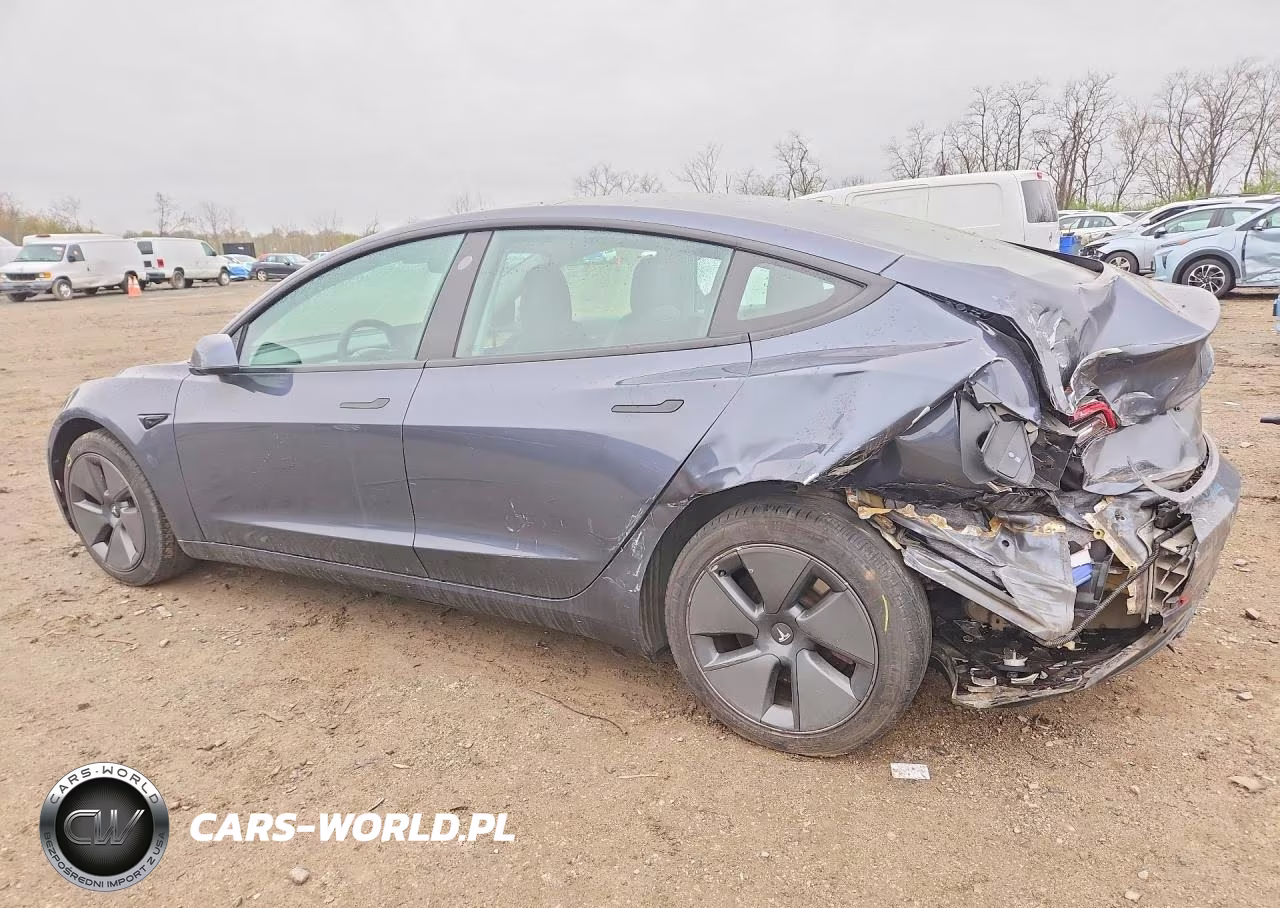 2021 Tesla Model 3 VIN:5YJ3E1EA5MF100169 - 2