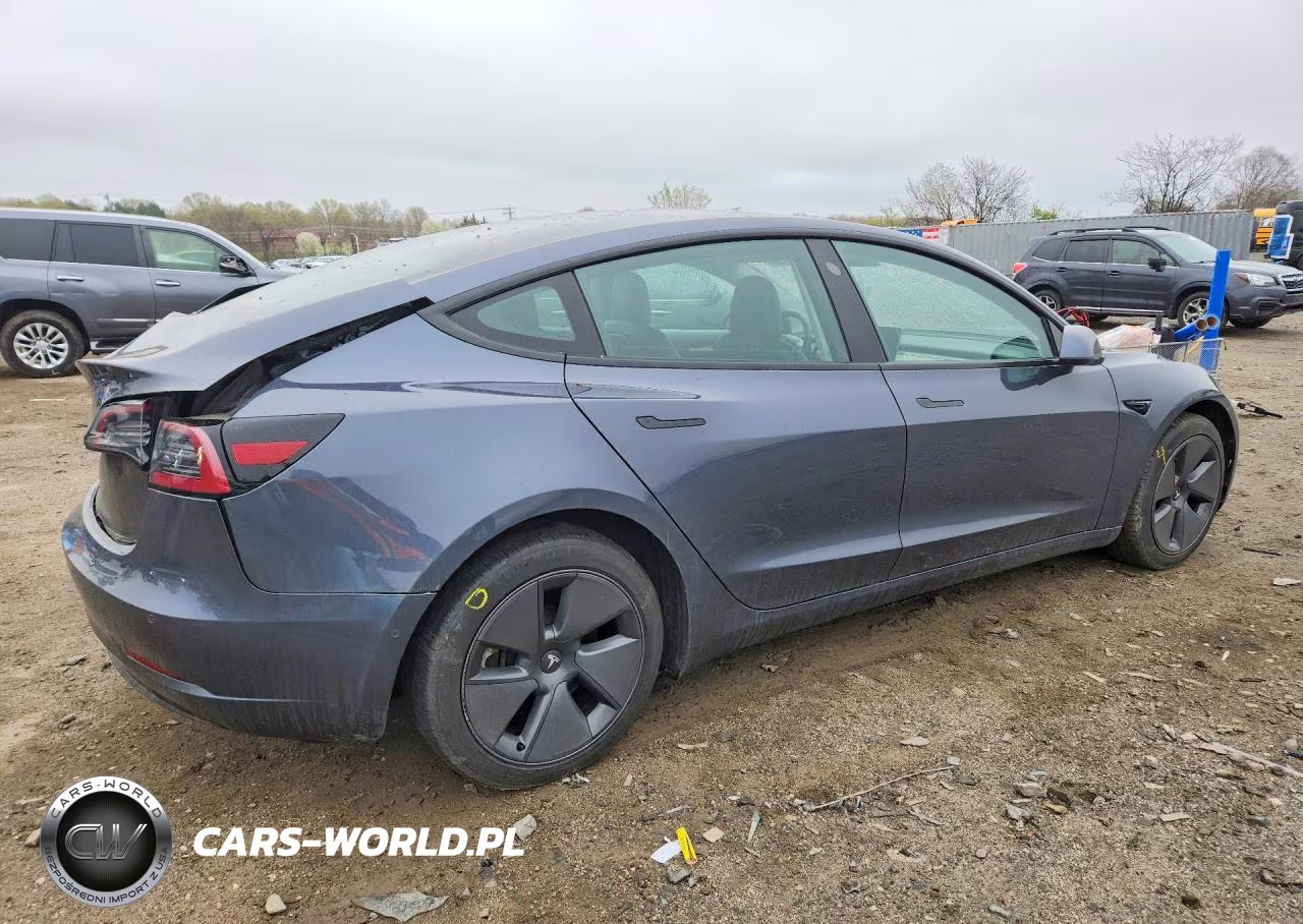 2021 Tesla Model 3 VIN:5YJ3E1EA5MF100169 - 3