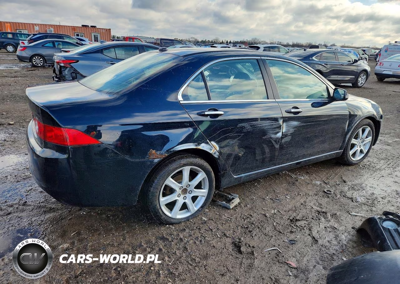 2005 Acura Tsx VIN:JH4CL96895C017244 - 3
