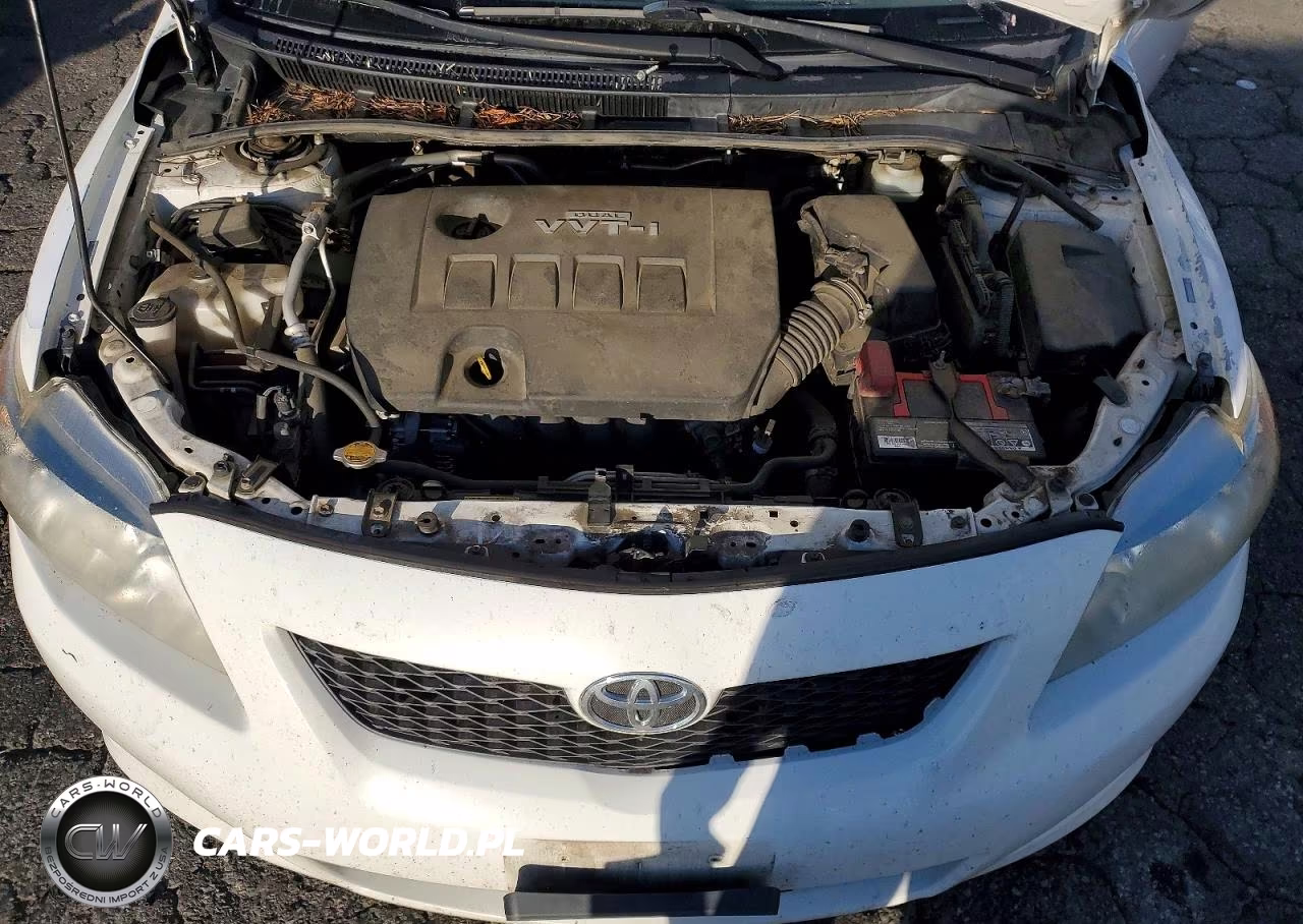2010 Toyota Corolla Le VIN:JTDBU4EE3AJ074842 - 11