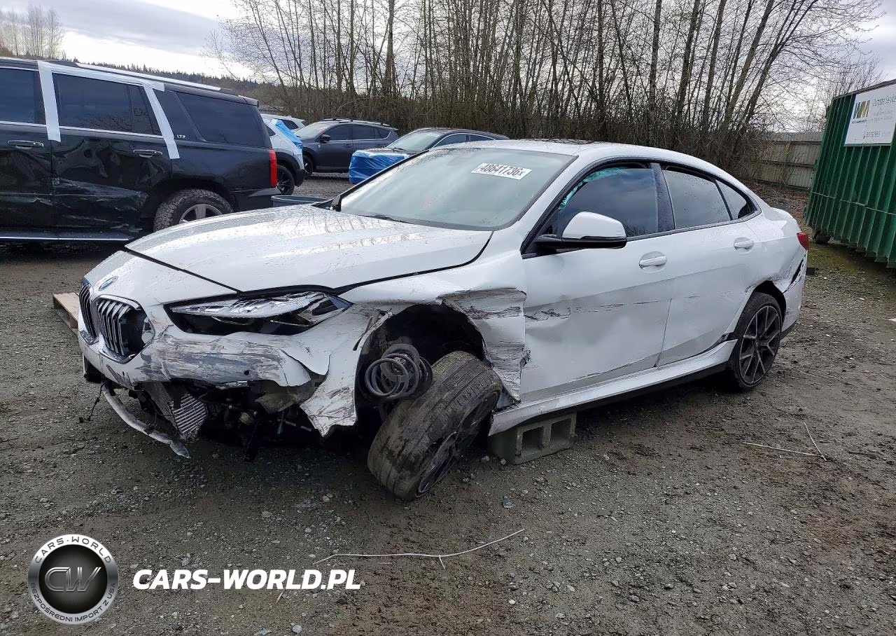 2020 BMW 228Xi VIN:WBA73AK07L7F74051 - 1