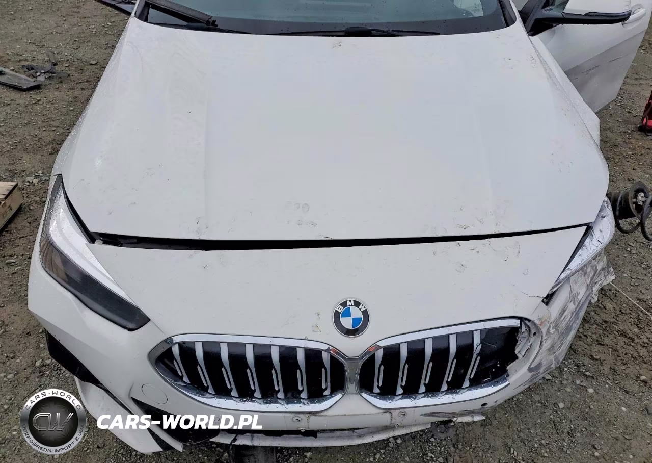 2020 BMW 228Xi VIN:WBA73AK07L7F74051 - 11