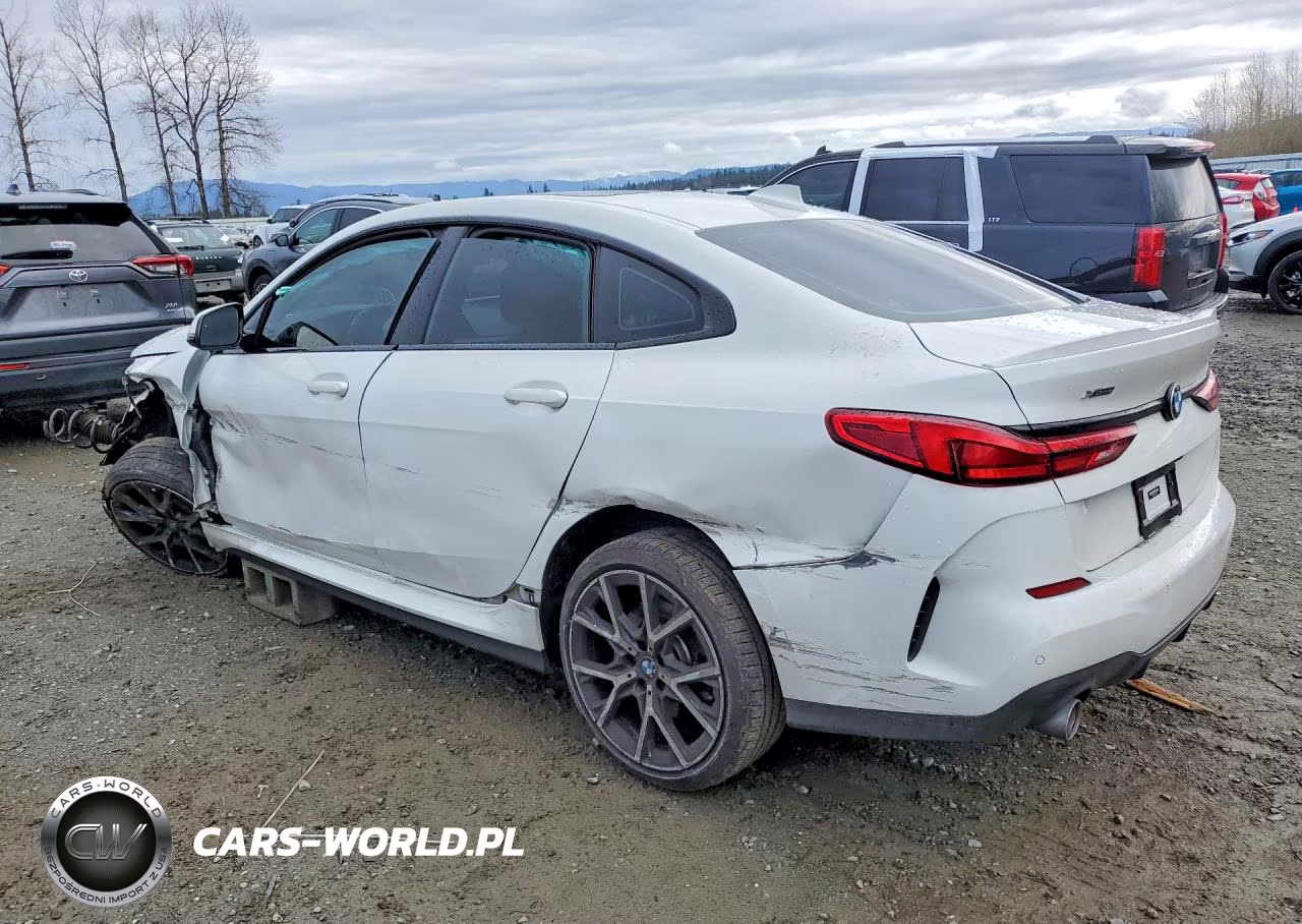 2020 BMW 228Xi VIN:WBA73AK07L7F74051 - 2