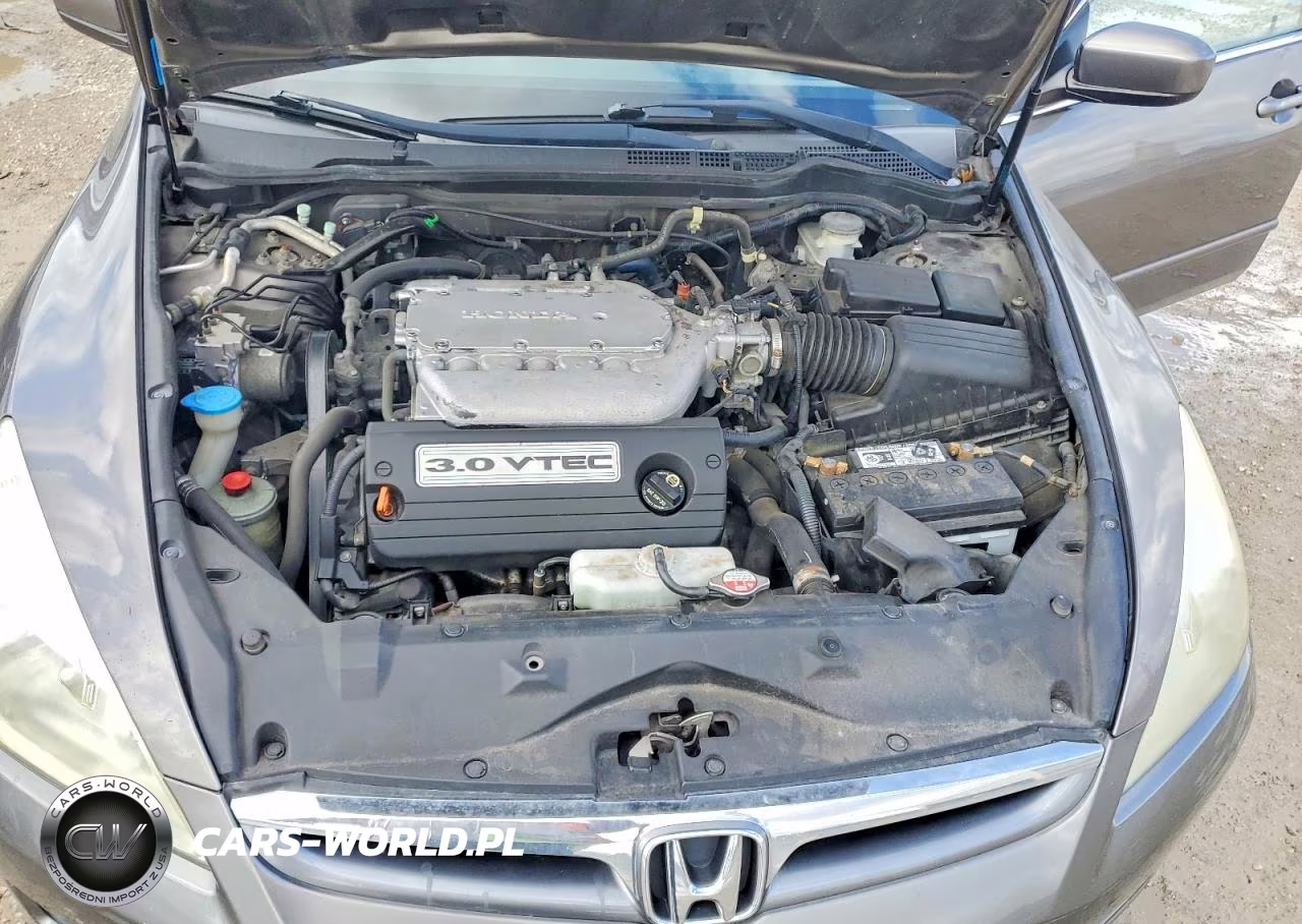 2006 Honda Accord VIN:1HGCM66506A064101 - 11