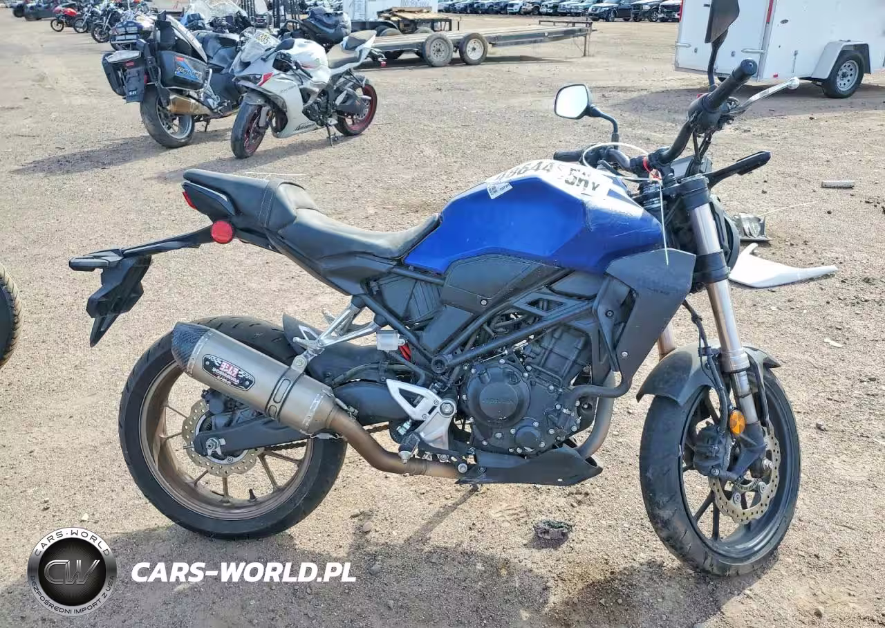 2021 Honda Cbf300 Na