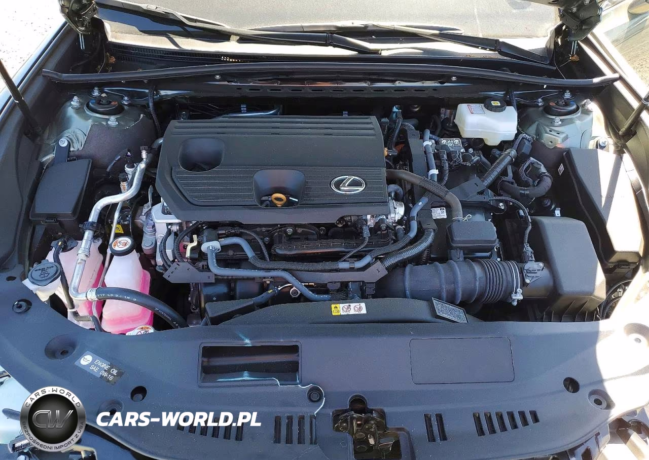 2025 Lexus Es 300H Base VIN:58ADA1C11SU071555 - 11