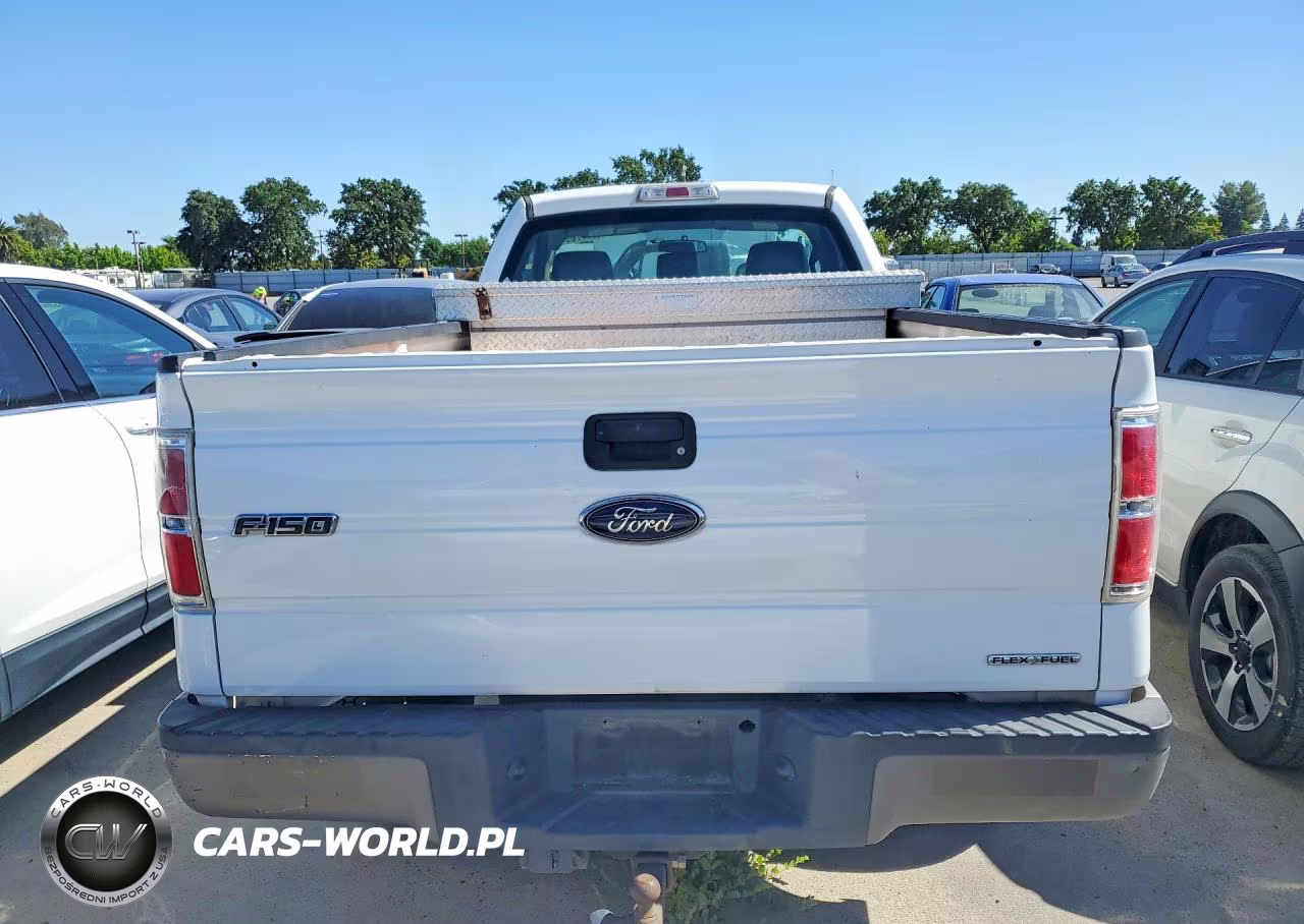 2013 Ford F150 VIN:1FTMF1CMXDKE45957 - 6
