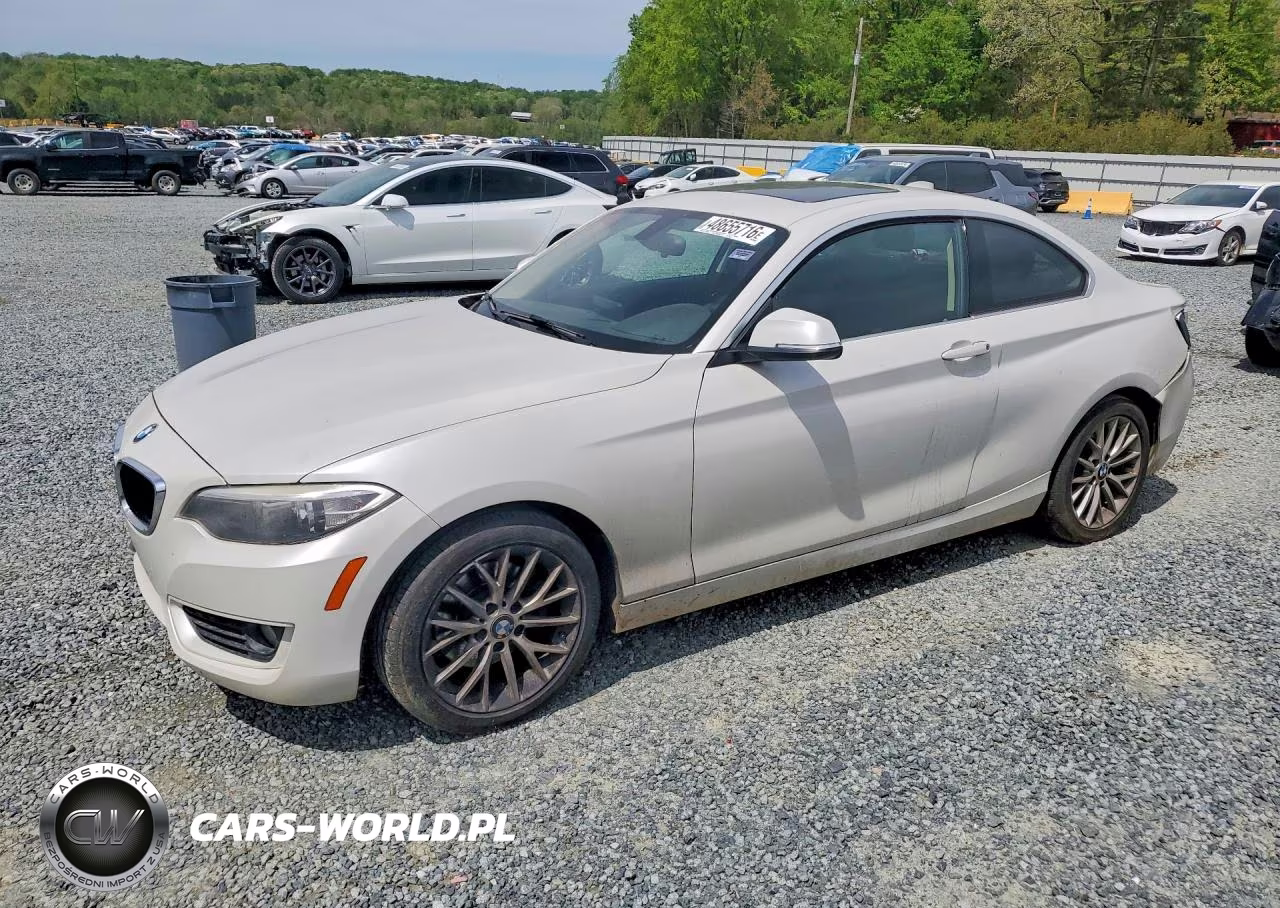 2015 BMW 228I