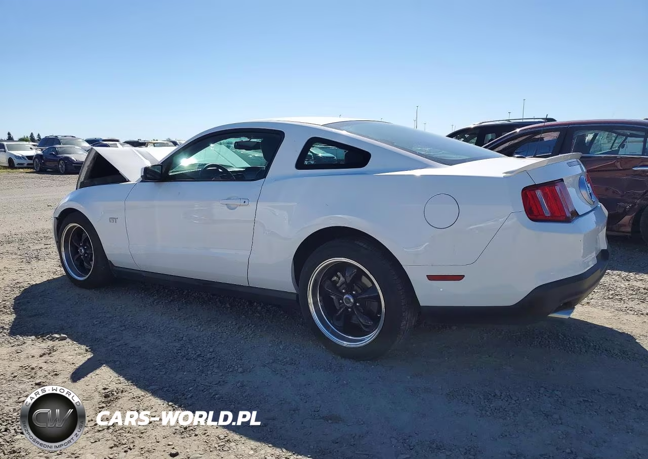 2010 Ford Mustang Gt VIN:1ZVBP8CH8A5138908 - 2