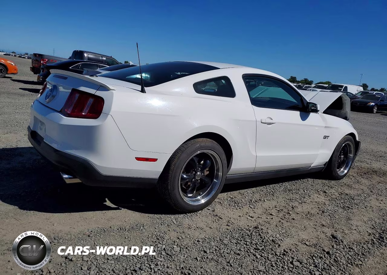 2010 Ford Mustang Gt VIN:1ZVBP8CH8A5138908 - 3