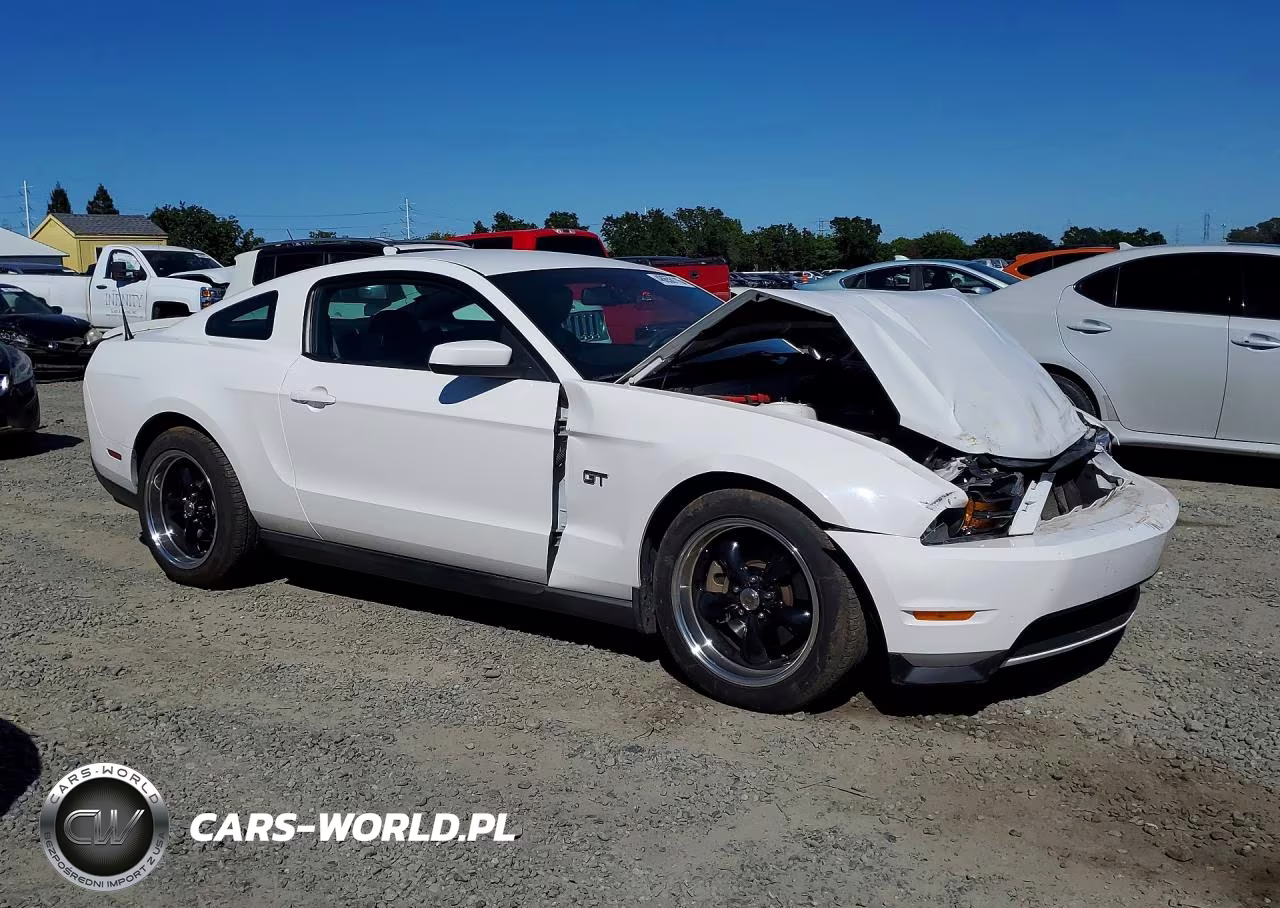 2010 Ford Mustang Gt VIN:1ZVBP8CH8A5138908 - 4