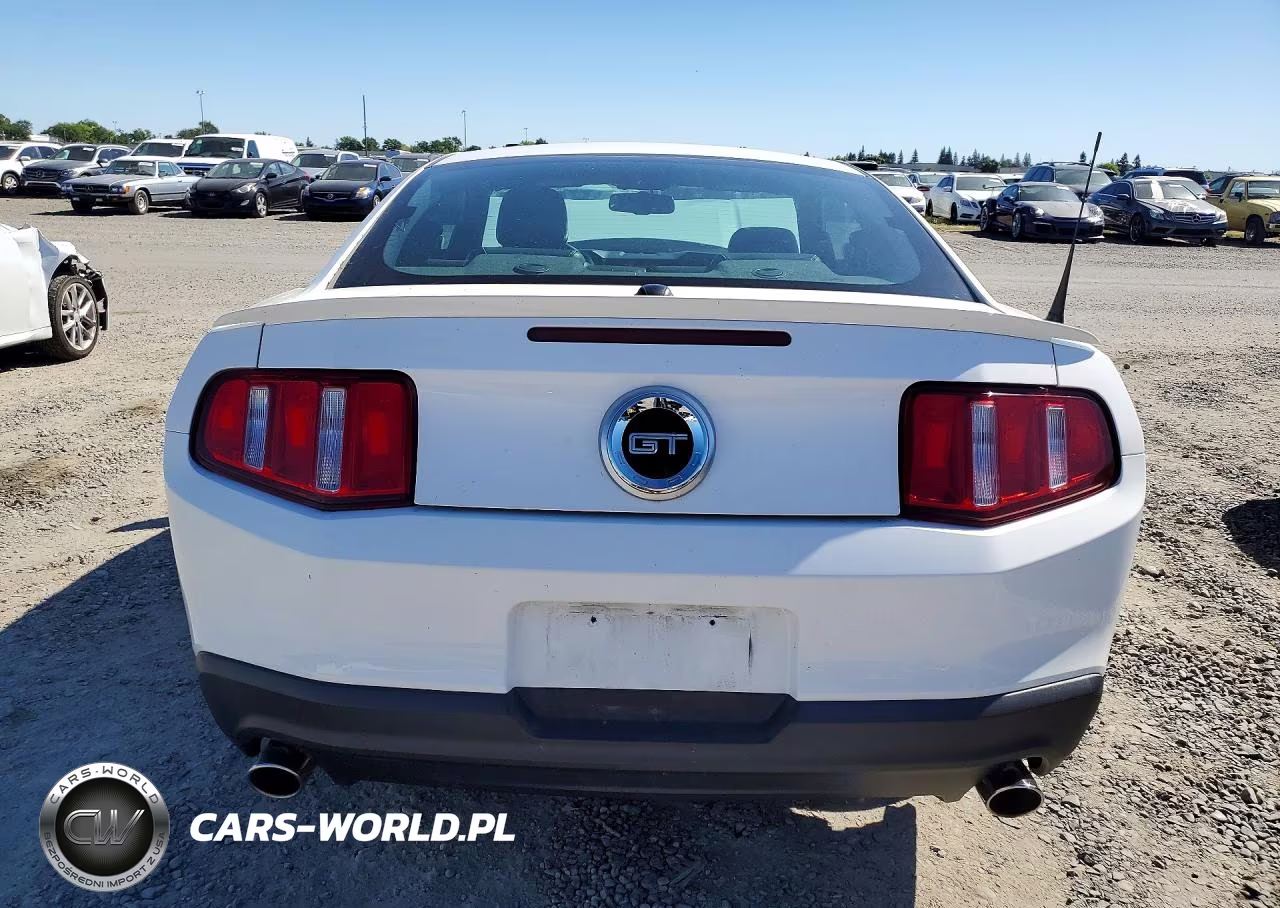 2010 Ford Mustang Gt VIN:1ZVBP8CH8A5138908 - 6