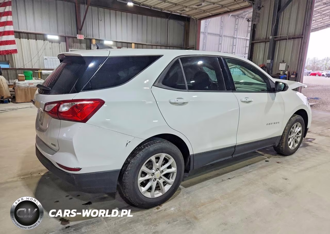2019 Chevrolet Equinox Ls VIN:3GNAXSEVXKS547957 - 3