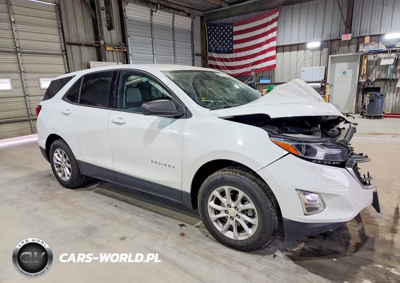 2019 Chevrolet Equinox Ls VIN:3GNAXSEVXKS547957 - 4
