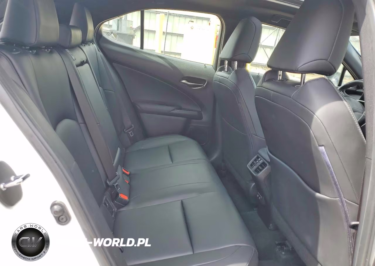 2020 Lexus Ux 250H Base VIN:JTHP9JBH0L2024075 - 10