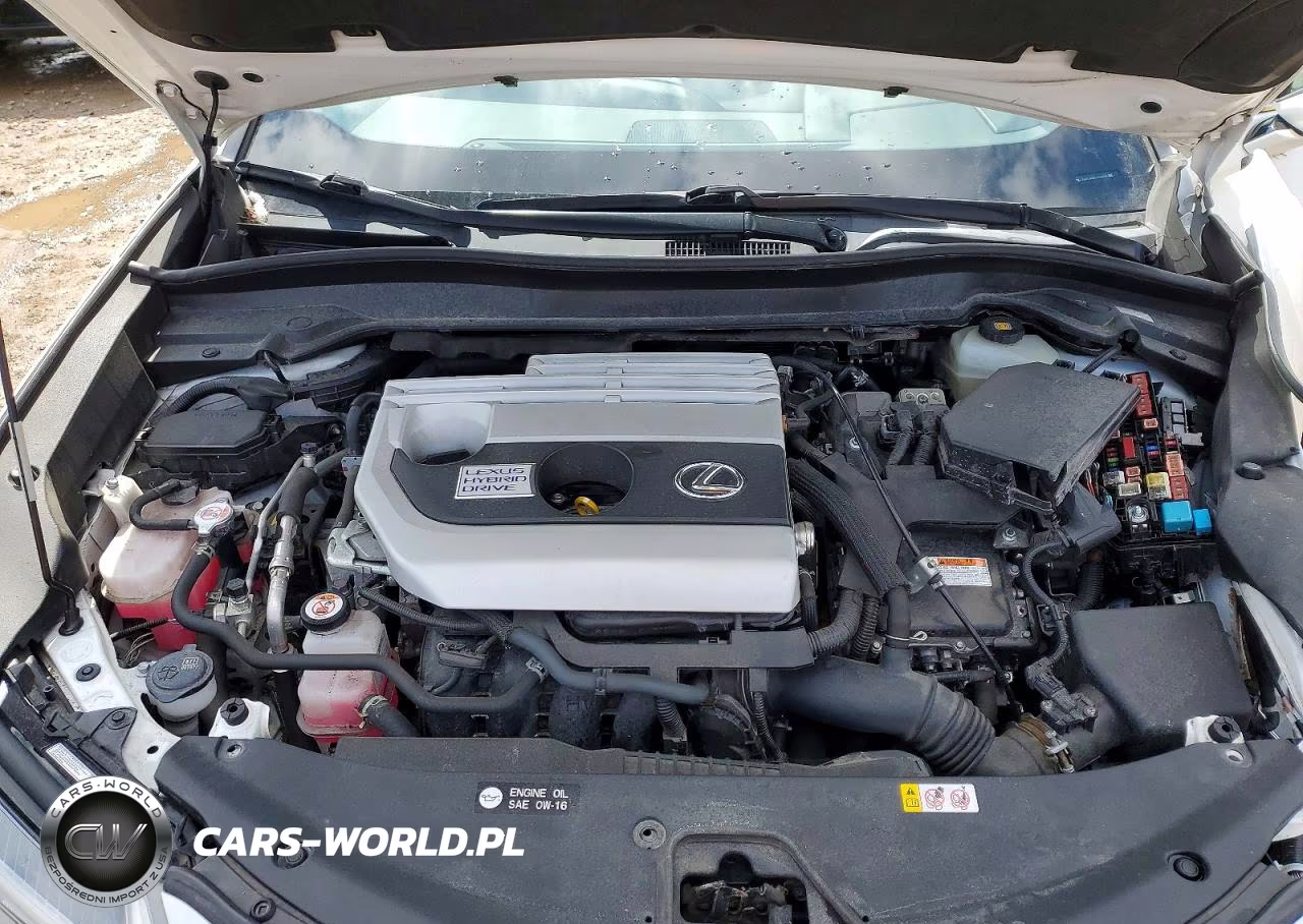 2020 Lexus Ux 250H Base VIN:JTHP9JBH0L2024075 - 11