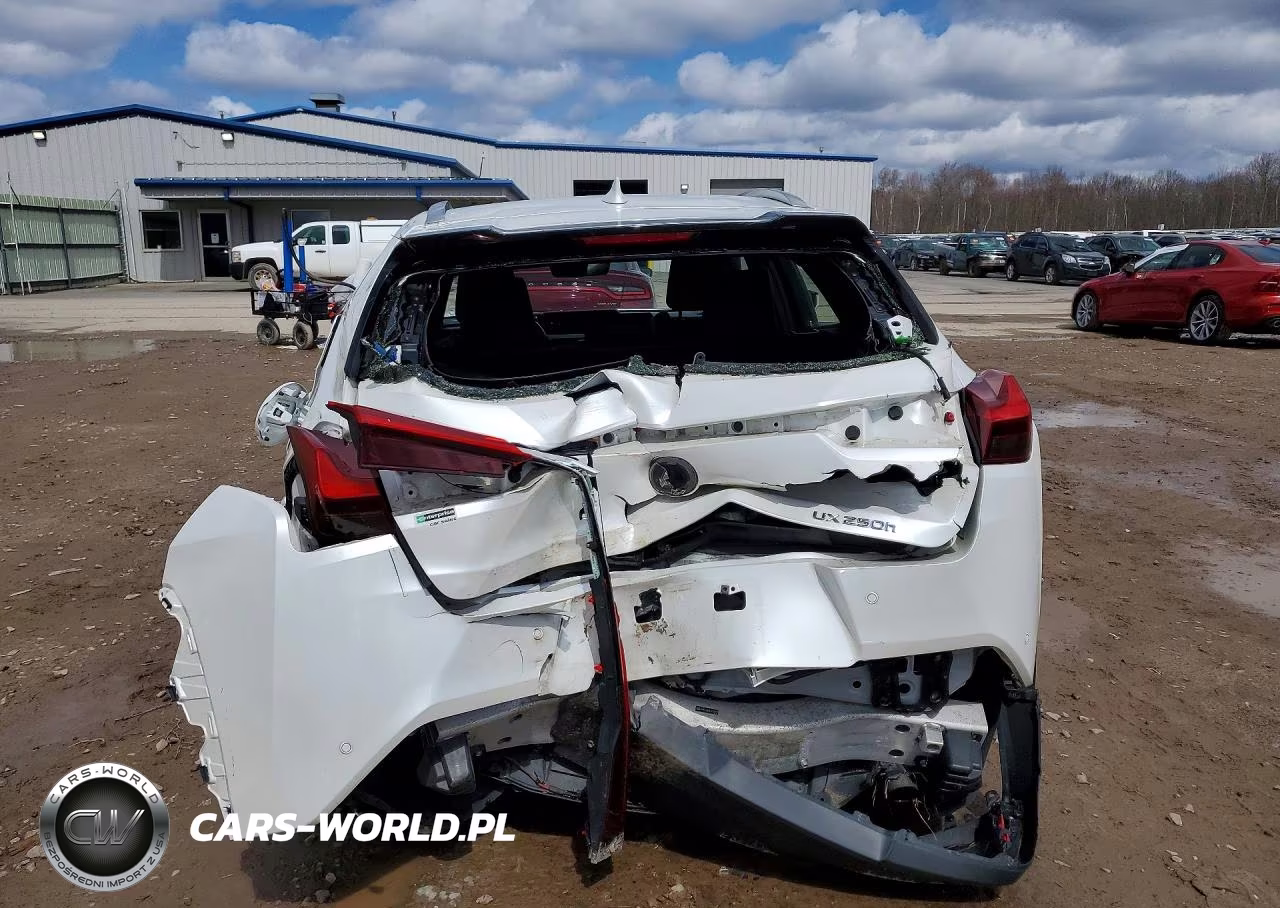 2020 Lexus Ux 250H Base VIN:JTHP9JBH0L2024075 - 6