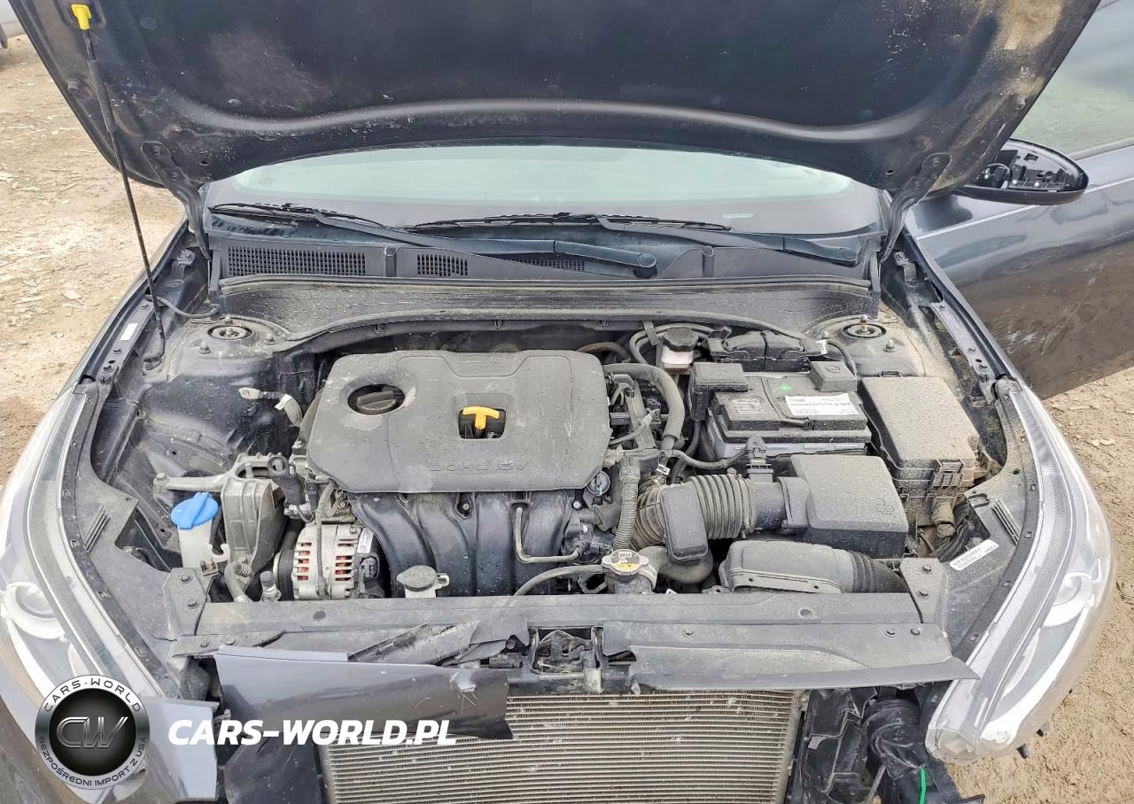 2021 Kia Forte Fe VIN:3KPF24AD0ME290301 - 11