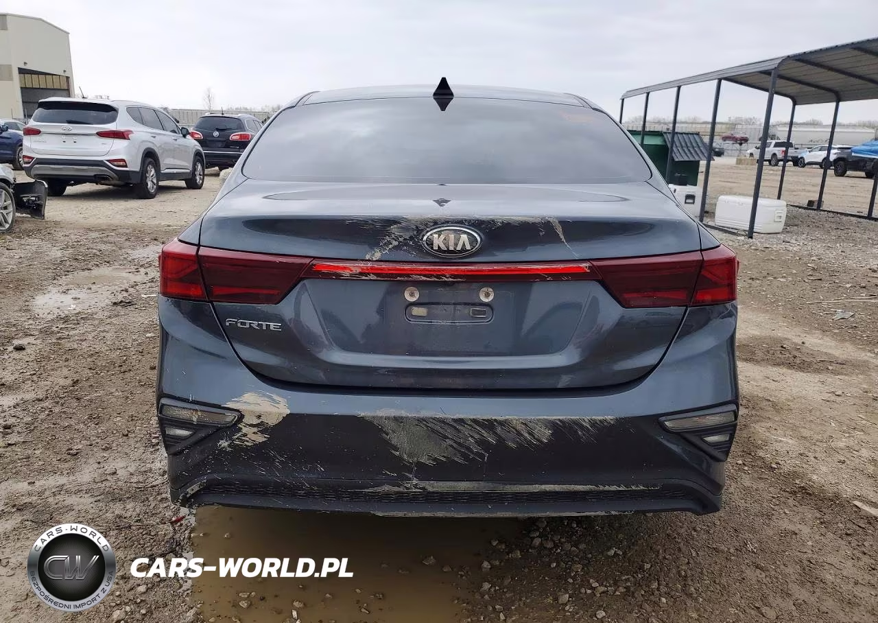 2021 Kia Forte Fe VIN:3KPF24AD0ME290301 - 6