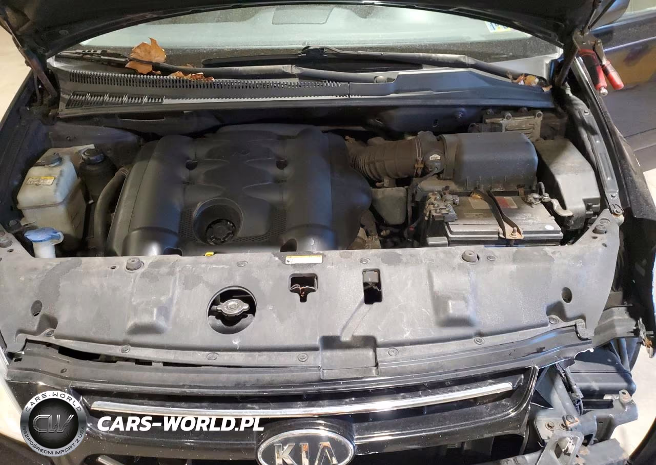 2008 Kia Sedona Ex VIN:KNDMB233186264351 - 12