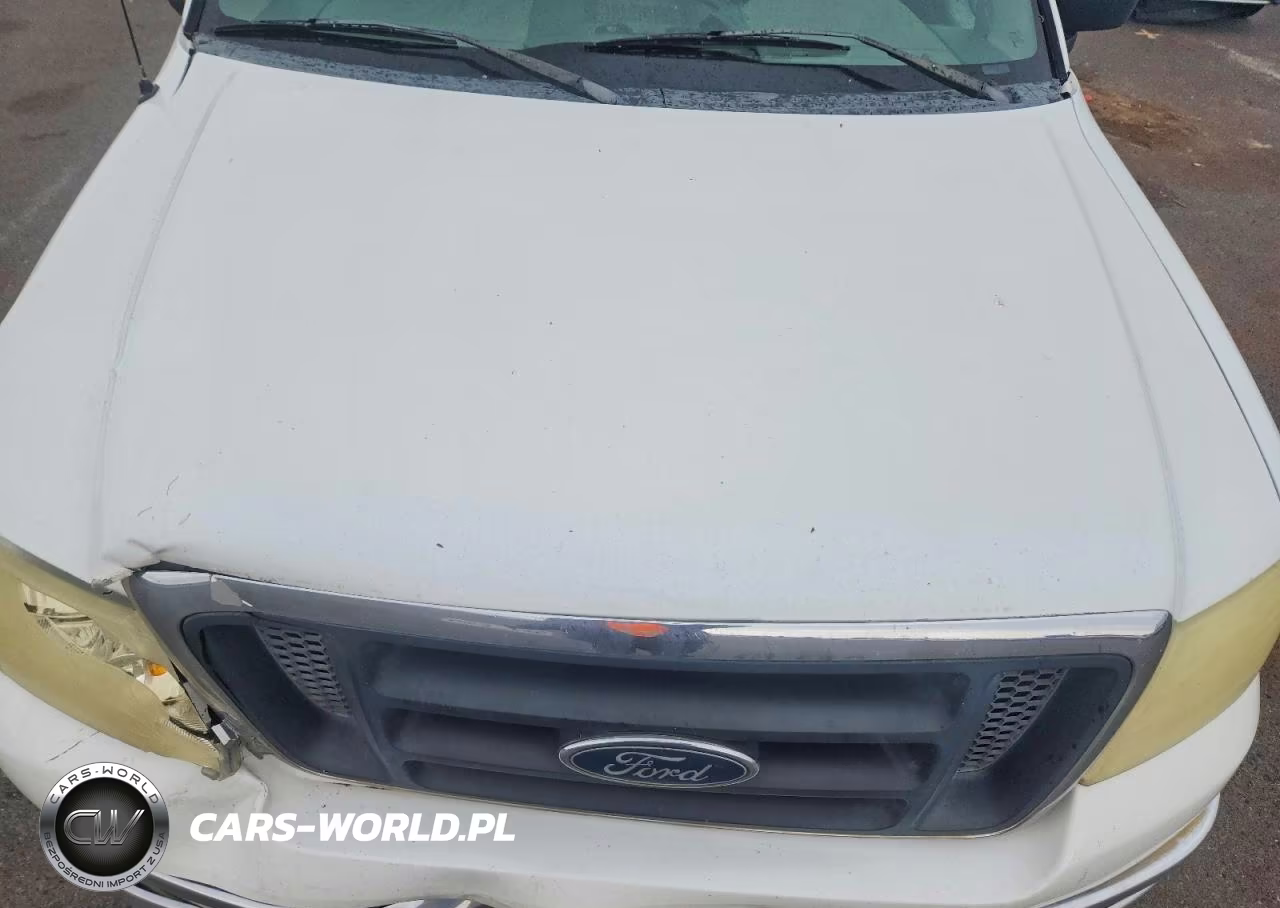 2004 Ford F150 VIN:1FTRF12W74NB44666 - 11