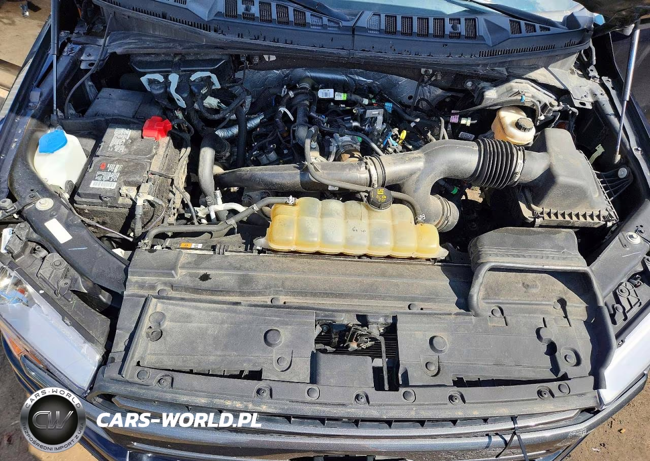 2020 Ford F150 Supercrew VIN:1FTEW1EP9LFB77938 - 11