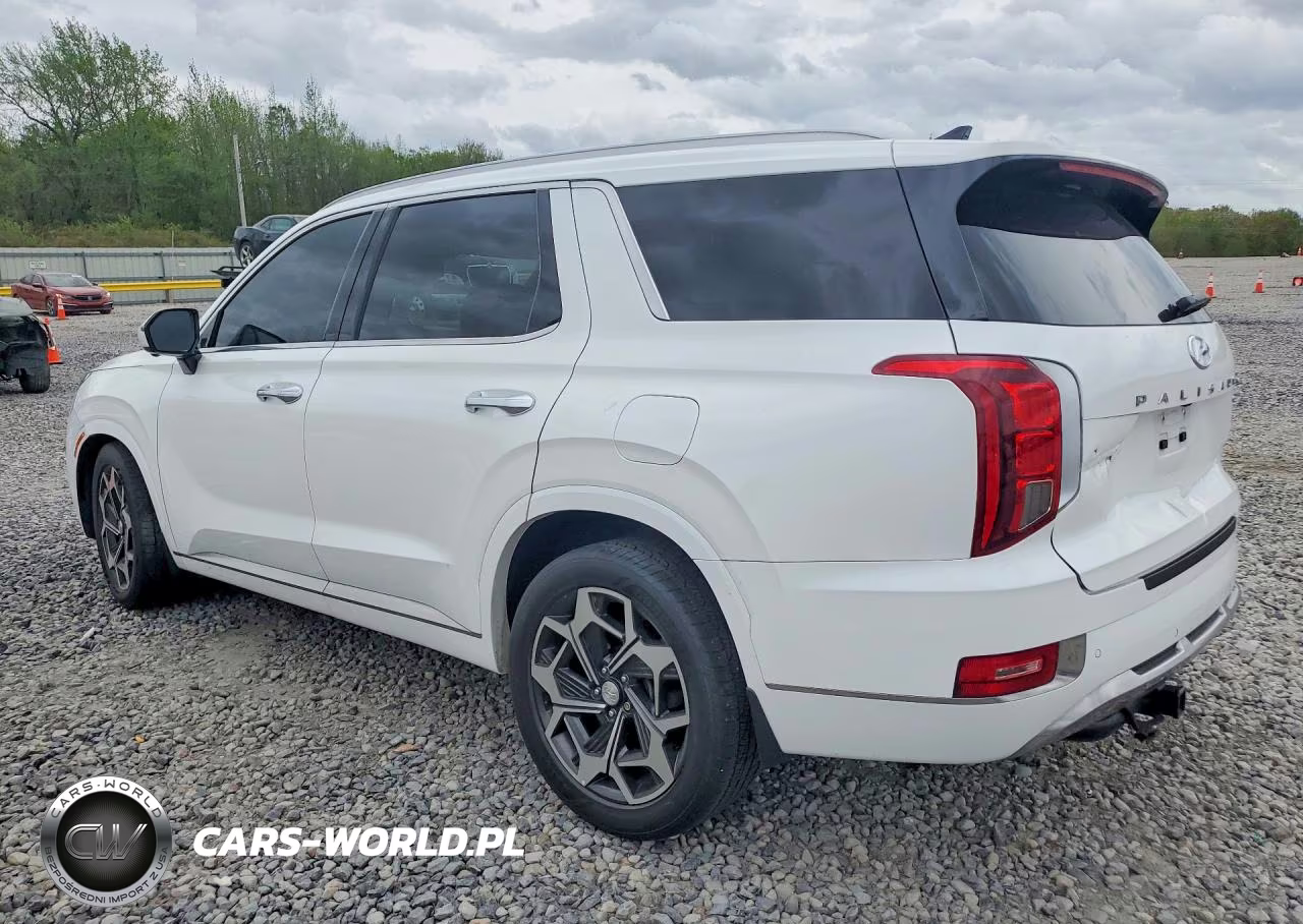 2022 Hyundai Palisade Calligraphy VIN:KM8R7DHE9NU422869 - 2