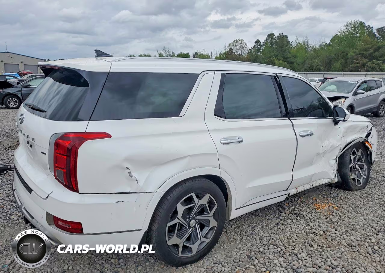 2022 Hyundai Palisade Calligraphy VIN:KM8R7DHE9NU422869 - 3