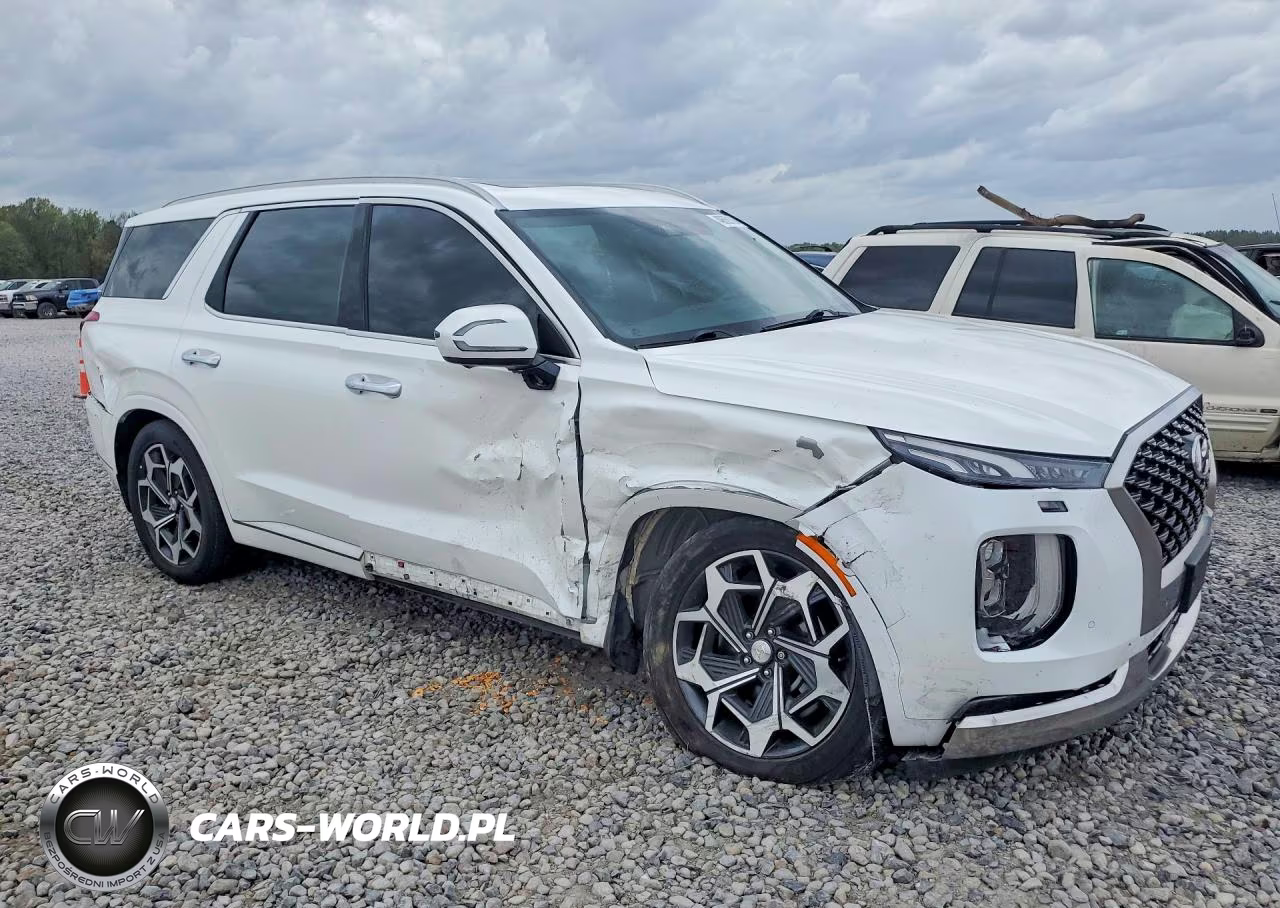2022 Hyundai Palisade Calligraphy VIN:KM8R7DHE9NU422869 - 4