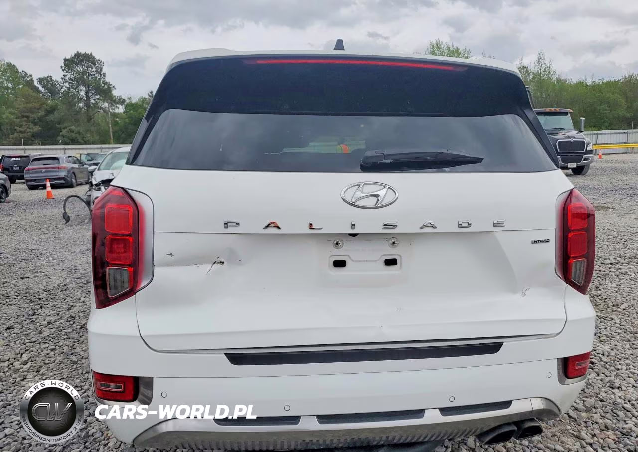 2022 Hyundai Palisade Calligraphy VIN:KM8R7DHE9NU422869 - 6