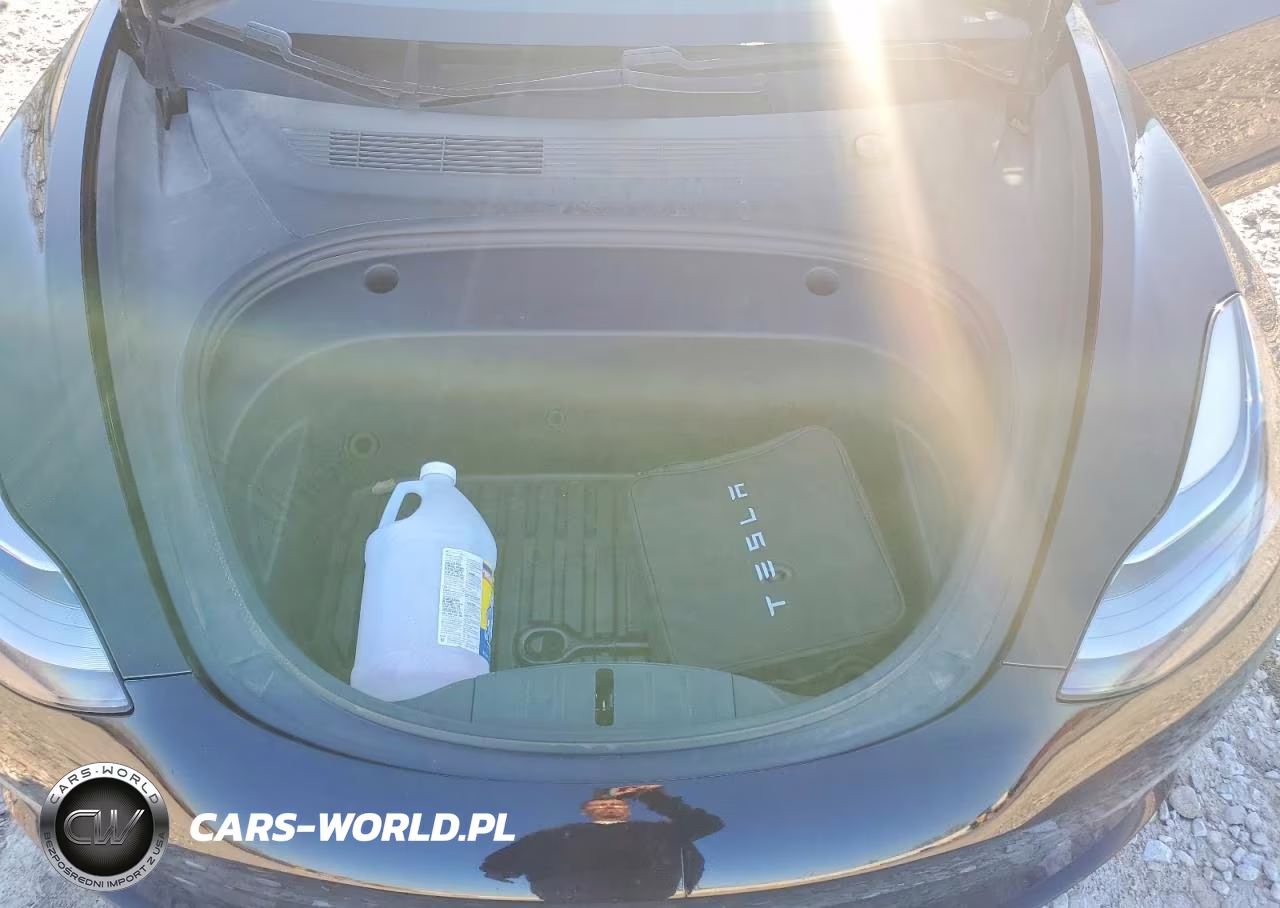 2021 Tesla Model 3 VIN:5YJ3E1EAXMF031687 - 11