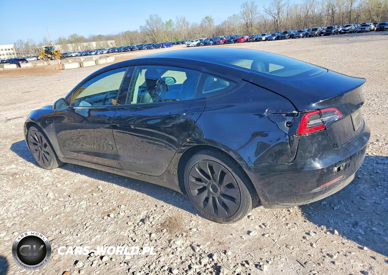 2021 Tesla Model 3 VIN:5YJ3E1EAXMF031687 - 2