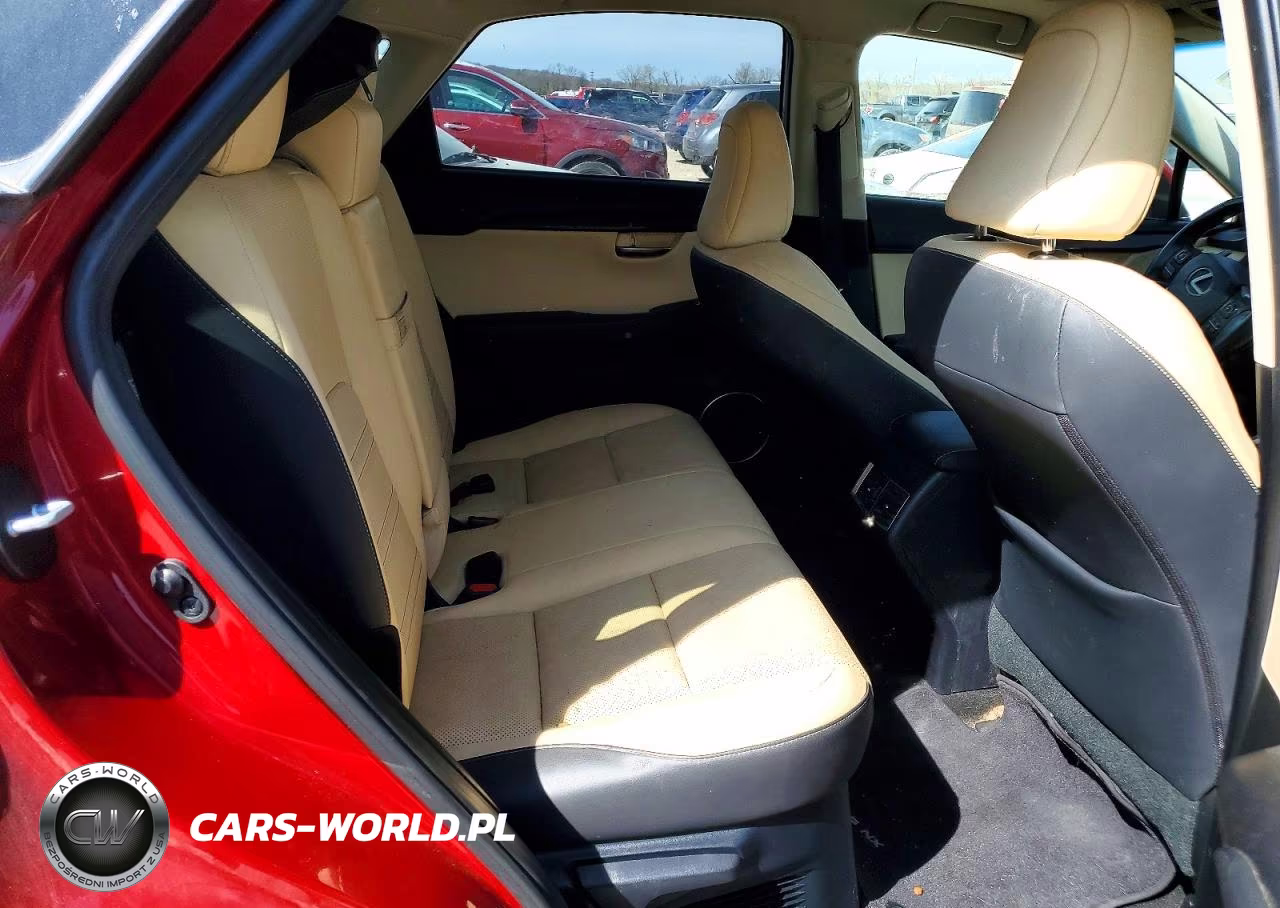 2018 Lexus Nx 300 Base VIN:JTJBARBZXJ2173114 - 10