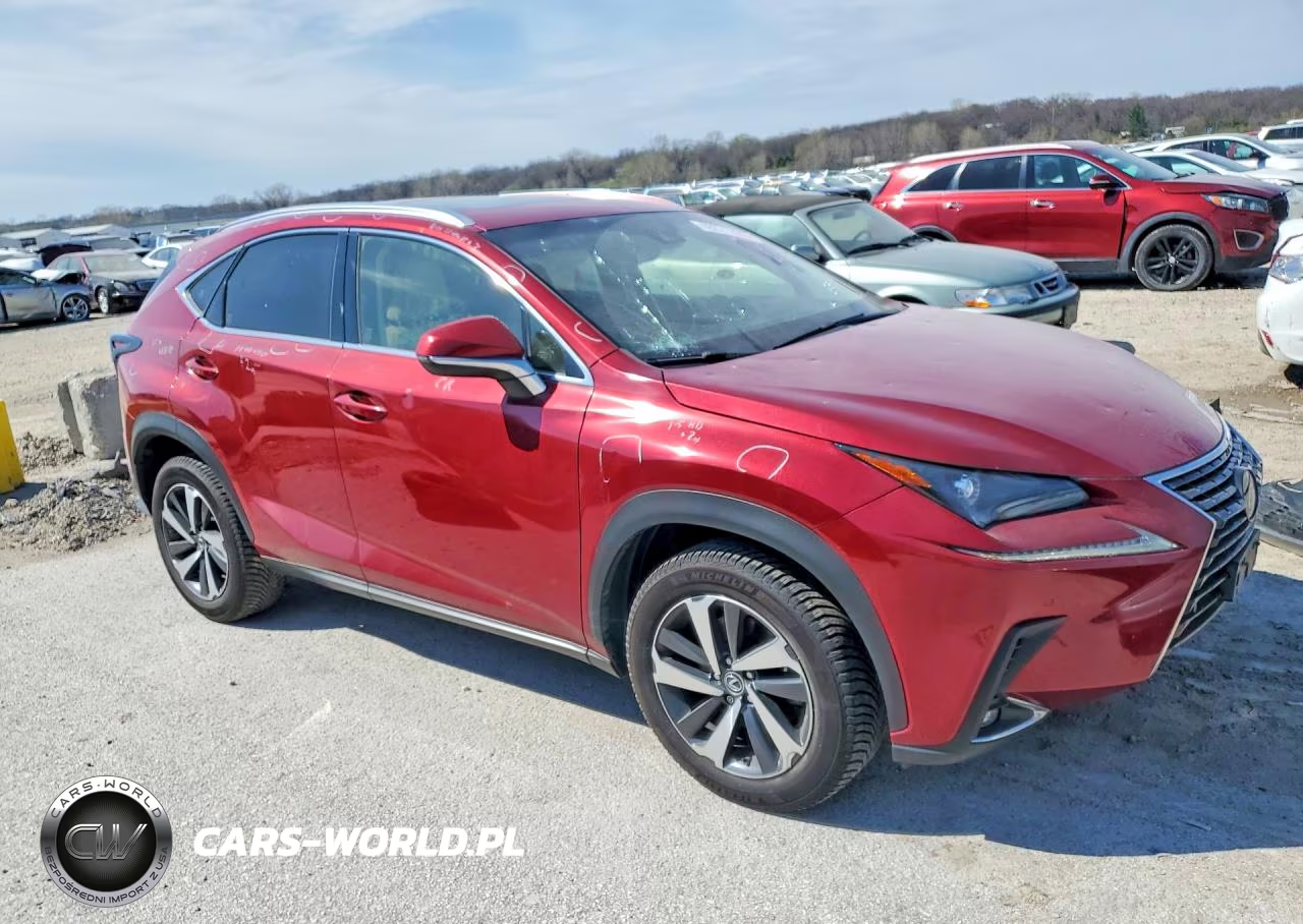 2018 Lexus Nx 300 Base VIN:JTJBARBZXJ2173114 - 4