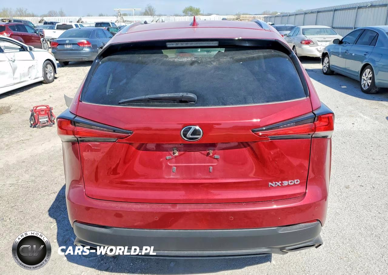 2018 Lexus Nx 300 Base VIN:JTJBARBZXJ2173114 - 6