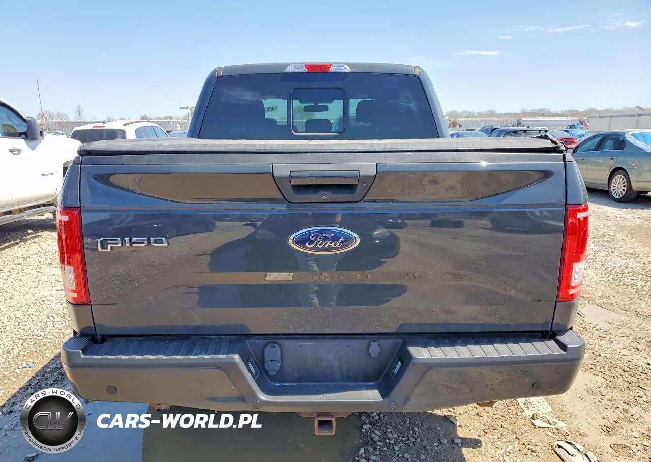 2017 Ford F150 Supercrew VIN:1FTEW1EPXHFA84174 - 6