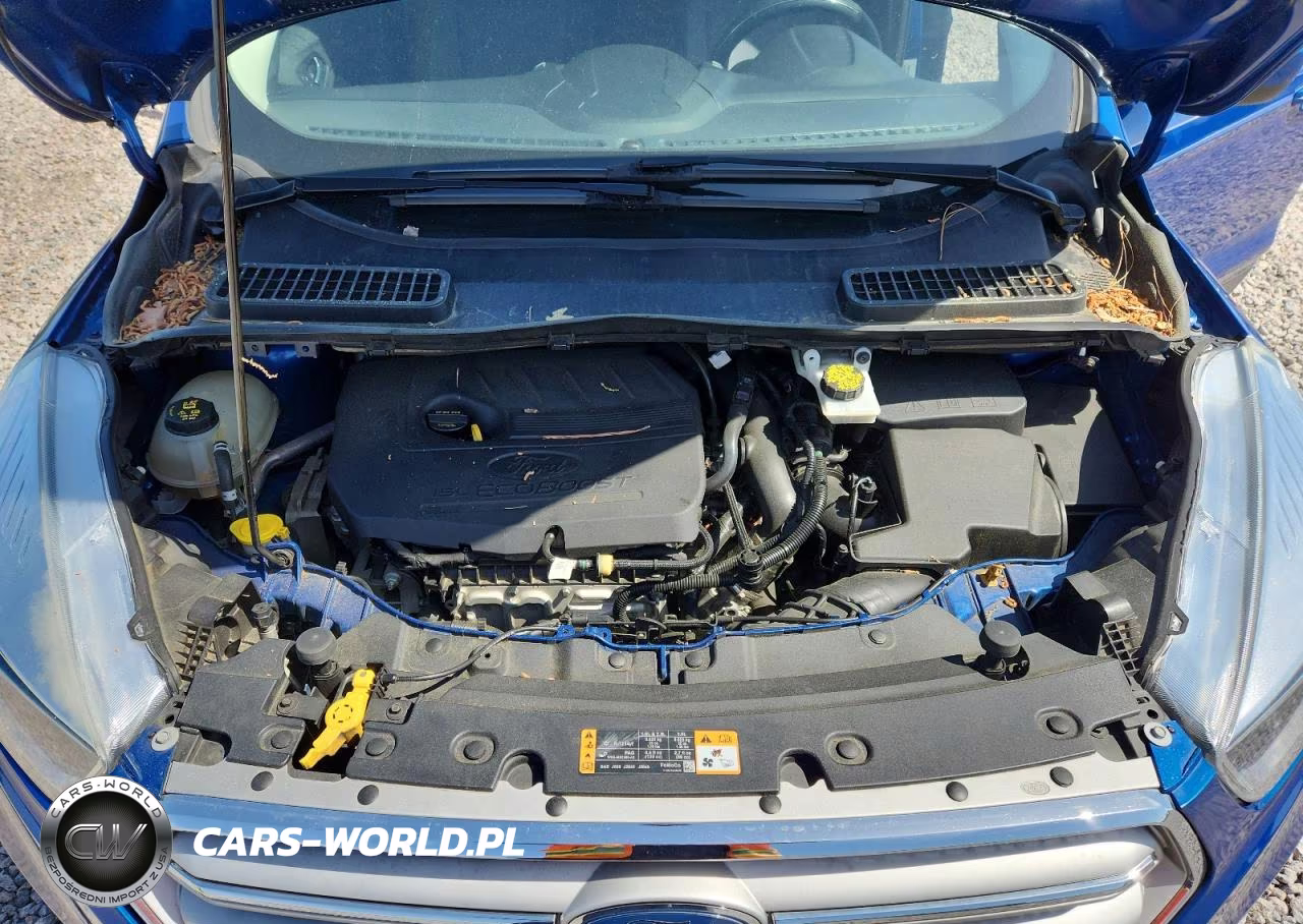 2018 Ford Escape Se VIN:1FMCU0GD5JUD52023 - 12