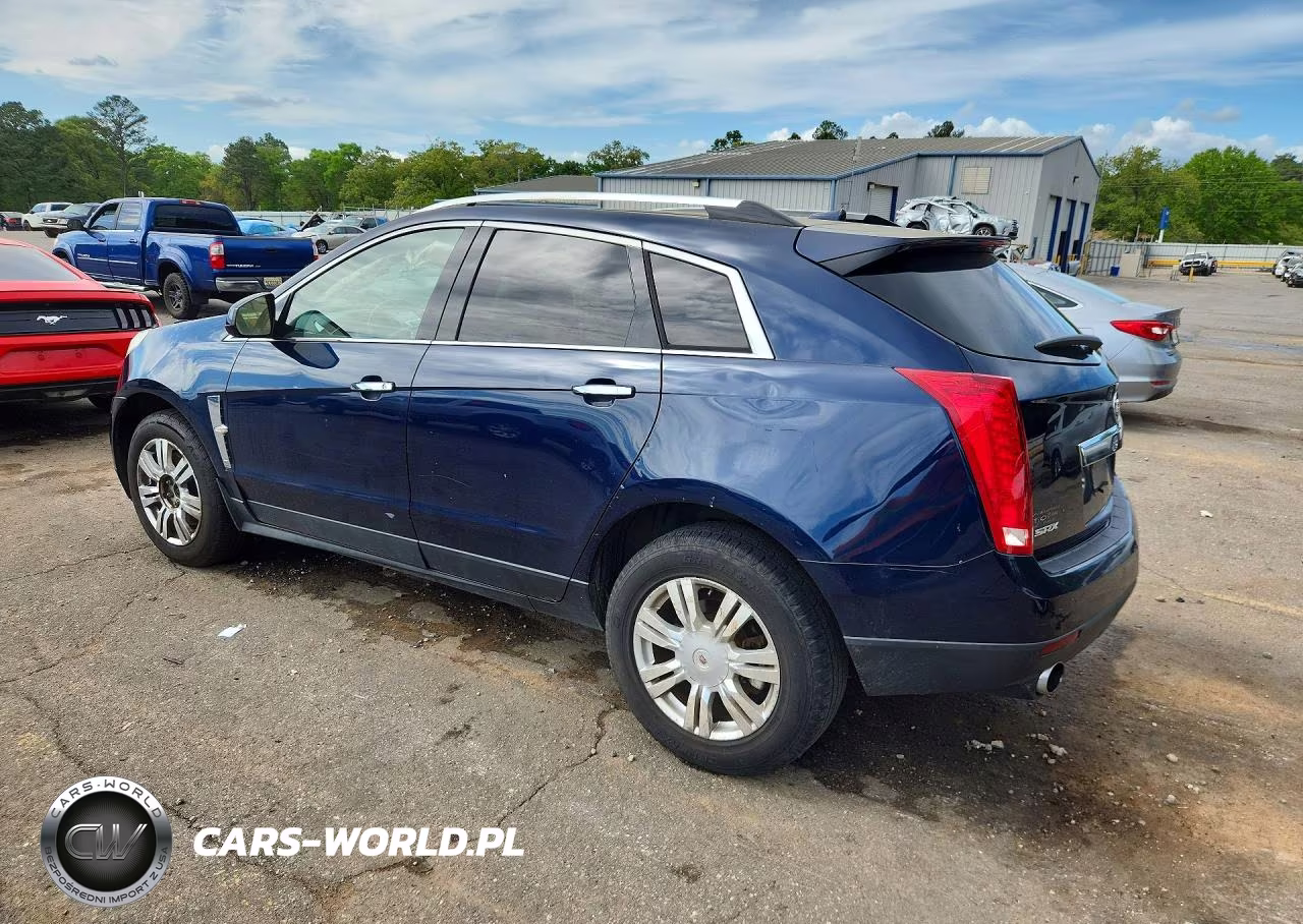 2010 Cadillac Srx Luxury Collection VIN:3GYFNAEY6AS631663 - 2